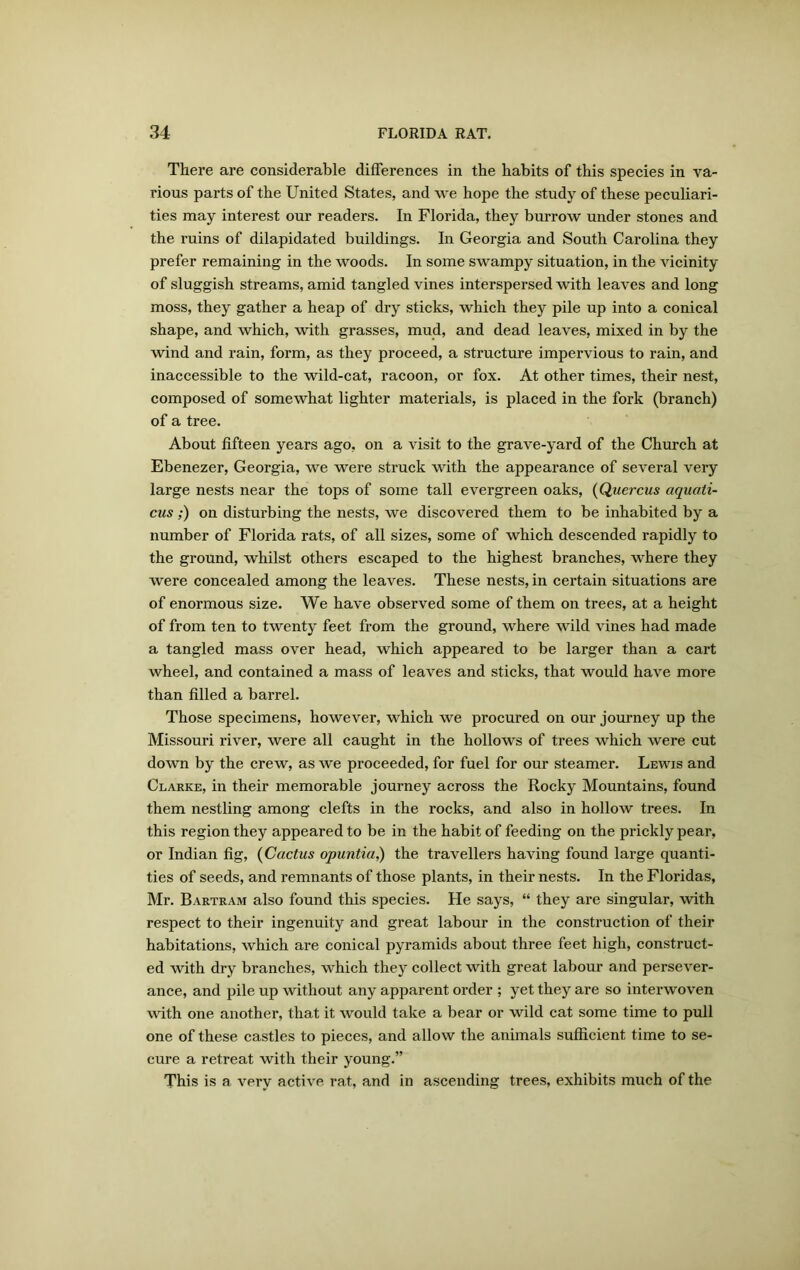 There are considerable differences in the habits of this species in va- rious parts of the United States, and we hope the study of these peculiari- ties may interest our readers. In Florida, they burrow under stones and the ruins of dilapidated buildings. In Georgia and South Carolina they prefer remaining in the woods. In some swampy situation, in the vicinity of sluggish streams, amid tangled vines interspersed with leaves and long moss, they gather a heap of dry sticks, which they pile up into a conical shape, and which, with grasses, mud, and dead leaves, mixed in by the wind and rain, form, as they proceed, a structure impervious to rain, and inaccessible to the wild-cat, racoon, or fox. At other times, their nest, composed of somewhat lighter materials, is placed in the fork (branch) of a tree. About fifteen years ago, on a visit to the grave-yard of the Church at Ebenezer, Georgia, we were struck with the appearance of several very large nests near the tops of some tall evergreen oaks, (Quercus aquali- cus ;) on disturbing the nests, we discovered them to be inhabited by a number of Florida rats, of all sizes, some of which descended rapidly to the ground, whilst others escaped to the highest branches, where they were concealed among the leaves. These nests, in certain situations are of enormous size. We have observed some of them on trees, at a height of from ten to twenty feet from the ground, where wild vines had made a tangled mass over head, which appeared to be larger than a cart wheel, and contained a mass of leaves and sticks, that would have more than filled a barrel. Those specimens, however, which we procured on our journey up the Missouri river, were all caught in the hollows of trees which were cut down by the crew, as we proceeded, for fuel for our steamer. Lewis and Clarke, in their memorable journey across the Rocky Mountains, found them nestling among clefts in the rocks, and also in hollow trees. In this region they appeared to be in the habit of feeding on the prickly pear, or Indian fig, (Cactus opuntia,) the travellers having found large quanti- ties of seeds, and remnants of those plants, in their nests. In the Floridas, Mr. Bartram also found this species. He says, “ they are singular, with respect to their ingenuity and great labour in the construction of their habitations, Avhich are conical pyramids about three feet high, construct- ed with dry branches, which they collect with great labour and persever- ance, and pile up without any apparent order ; yet they are so interwoven with one another, that it would take a bear or wild cat some time to pull one of these castles to pieces, and allow the animals sufficient time to se- cure a retreat with their young.” This is a very active rat, and in ascending trees, exhibits much of the