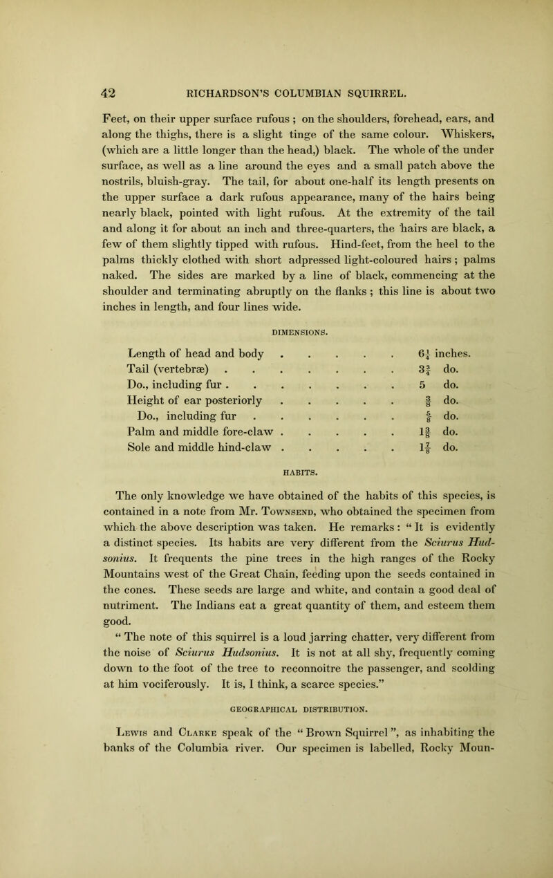 Feet, on their upper surface rufous ; on the shoulders, forehead, ears, and along the thighs, there is a slight tinge of the same colour. Whiskers, (which are a little longer than the head,) black. The whole of the under surface, as well as a line around the eyes and a small patch above the nostrils, bluish-gray. The tail, for about one-half its length presents on the upper surface a dark rufous appearance, many of the hairs being nearly black, pointed with light rufous. At the extremity of the tail and along it for about an inch and three-quarters, the hairs are black, a few of them slightly tipped with rufous. Hind-feet, from the heel to the palms thickly clothed with short adpressed light-coloured hairs ; palms naked. The sides are marked by a line of black, commencing at the shoulder and terminating abruptly on the flanks ; this line is about two inches in length, and four lines wide. DIMENSIONS. Length of head and body ..... 6^ inches. Tail (vertebrae) ....... 3f do. Do., including fur 5 do. Height of ear posteriorly f do. Do., including fur ...... 5 8 do. Palm and middle fore-claw ..... If do. Sole and middle hind-claw ..... 1 z a8 do. HABITS. The only knowledge we have obtained of the habits of this species, is contained in a note from Mr. Townsend, who obtained the specimen from which the above description was taken. He remarks : “ It is evidently a distinct species. Its habits are very different from the Sciurus Hud- sonius. It frequents the pine trees in the high ranges of the Rocky Mountains west of the Great Chain, feeding upon the seeds contained in the cones. These seeds are large and white, and contain a good deal of nutriment. The Indians eat a great quantity of them, and esteem them good. “ The note of this squirrel is a loud jarring chatter, very different from the noise of Sciurus Hudsonius. It is not at all shy, frequently coming down to the foot of the tree to reconnoitre the passenger, and scolding at him vociferously. It is, I think, a scarce species.” GEOGRAPHICAL DISTRIBUTION. Lewis and Clarke speak of the “ Brown Squirrel ”, as inhabiting the banks of the Columbia river. Our specimen is labelled, Rocky Moun-
