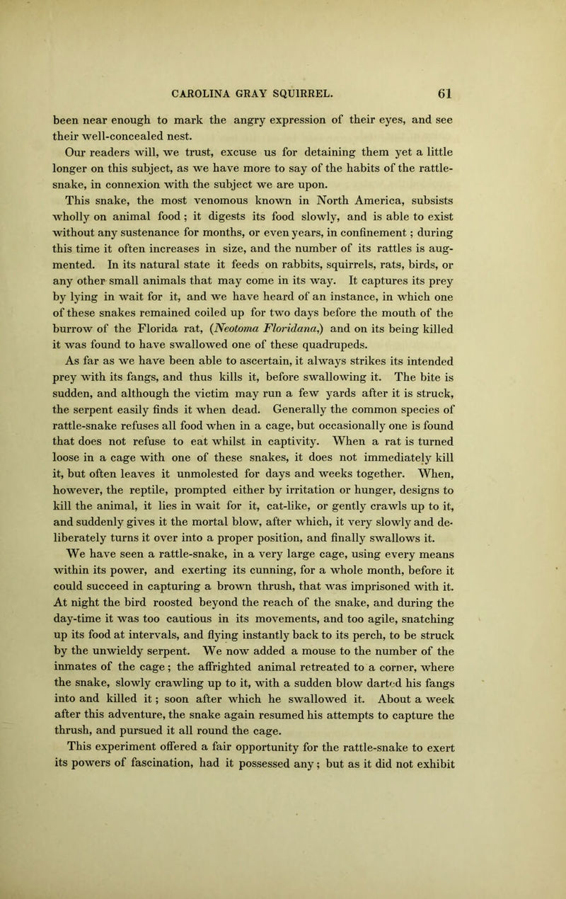 been near enough to mark the angry expression of their eyes, and see their well-concealed nest. Our readers will, we trust, excuse us for detaining them yet a little longer on this subject, as we have more to say of the habits of the rattle- snake, in connexion with the subject we are upon. This snake, the most venomous known in North America, subsists wholly on animal food ; it digests its food slowly, and is able to exist without any sustenance for months, or even years, in confinement; during this time it often increases in size, and the number of its rattles is aug- mented. In its natural state it feeds on rabbits, squirrels, rats, birds, or any other- small animals that may come in its way. It captures its prey by lying in wait for it, and we have heard of an instance, in which one of these snakes remained coiled up for two days before the mouth of the burrow of the Florida rat, (Neotoma Floridana,) and on its being killed it was found to have swallowed one of these quadrupeds. As far as we have been able to ascertain, it always strikes its intended prey with its fangs, and thus kills it, before swallowing it. The bite is sudden, and although the victim may run a few yards after it is struck, the serpent easily finds it when dead. Generally the common species of rattle-snake refuses all food when in a cage, but occasionally one is found that does not refuse to eat whilst in captivity. When a rat is turned loose in a cage with one of these snakes, it does not immediately kill it, but often leaves it unmolested for days and weeks together. When, however, the reptile, prompted either by irritation or hunger, designs to kill the animal, it lies in wait for it, cat-like, or gently crawls up to it, and suddenly gives it the mortal blow, after which, it very slowly and de- liberately turns it over into a proper position, and finally swallows it. We have seen a rattle-snake, in a very large cage, using every means within its power, and exerting its cunning, for a whole month, before it could succeed in capturing a brown thrush, that was imprisoned with it. At night the bird roosted beyond the reach of the snake, and during the day-time it was too cautious in its movements, and too agile, snatching up its food at intervals, and flying instantly back to its perch, to be struck by the unwieldy serpent. We now added a mouse to the number of the inmates of the cage ; the affrighted animal retreated to a corner, where the snake, slowly crawling up to it, with a sudden blow darted his fangs into and killed it; soon after which he swallowed it. About a week after this adventure, the snake again resumed his attempts to capture the thrush, and pursued it all round the cage. This experiment offered a fair opportunity for the rattle-snake to exert its powers of fascination, had it possessed any; but as it did not exhibit