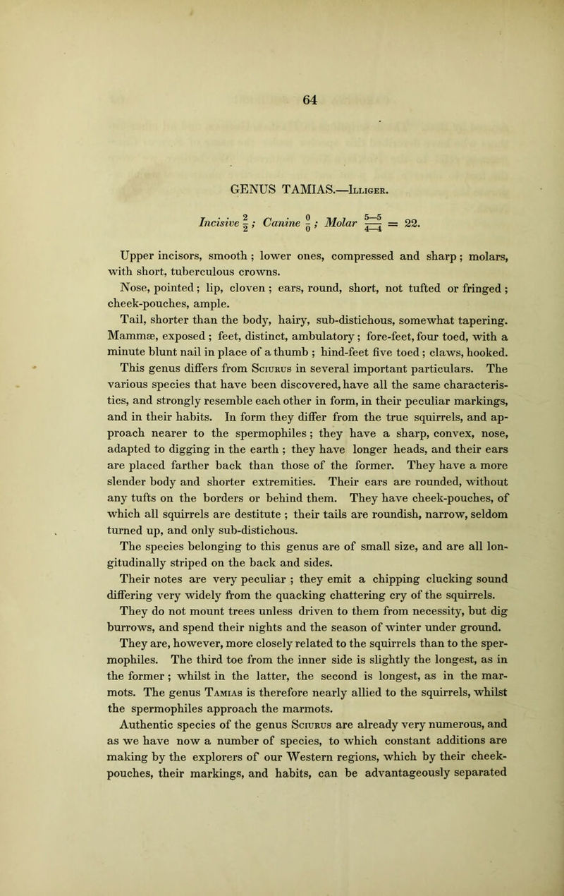 GENUS TAMIAS.—Illiger. Incisive |; Canine jj ; Molar = 22. Upper incisors, smooth ; lower ones, compressed and sharp; molars, with short, tuberculous crowns. Nose, pointed; lip, cloven ; ears, round, short, not tufted or fringed ; cheek-pouches, ample. Tail, shorter than the body, hairy, sub-distichous, somewhat tapering. Mammae, exposed ; feet, distinct, ambulatory ; fore-feet, four toed, with a minute blunt nail in place of a thumb ; hind-feet five toed ; claws, hooked. This genus differs from Sciurus in several important particulars. The various species that have been discovered, have all the same characteris- tics, and strongly resemble each other in form, in their peculiar markings, and in their habits. In form they differ from the true squirrels, and ap- proach nearer to the spermophiles; they have a sharp, convex, nose, adapted to digging in the earth ; they have longer heads, and their ears are placed farther back than those of the former. They have a more slender body and shorter extremities. Their ears are rounded, without any tufts on the borders or behind them. They have cheek-pouches, of which all squirrels are destitute ; their tails are roundish, narrow, seldom turned up, and only sub-distichous. The species belonging to this genus are of small size, and are all lon- gitudinally striped on the back and sides. Their notes are very peculiar ; they emit a chipping clucking sound differing very widely from the quacking chattering cry of the squirrels. They do not mount trees unless driven to them from necessity, but dig burrows, and spend their nights and the season of winter under ground. They are, however, more closely related to the squirrels than to the sper- mophiles. The third toe from the inner side is slightly the longest, as in the former; whilst in the latter, the second is longest, as in the mar- mots. The genus Tamias is therefore nearly allied to the squirrels, whilst the spermophiles approach the marmots. Authentic species of the genus Sciurus are already very numerous, and as we have now a number of species, to which constant additions are making by the explorers of our Western regions, which by their cheek- pouches, their markings, and habits, can be advantageously separated