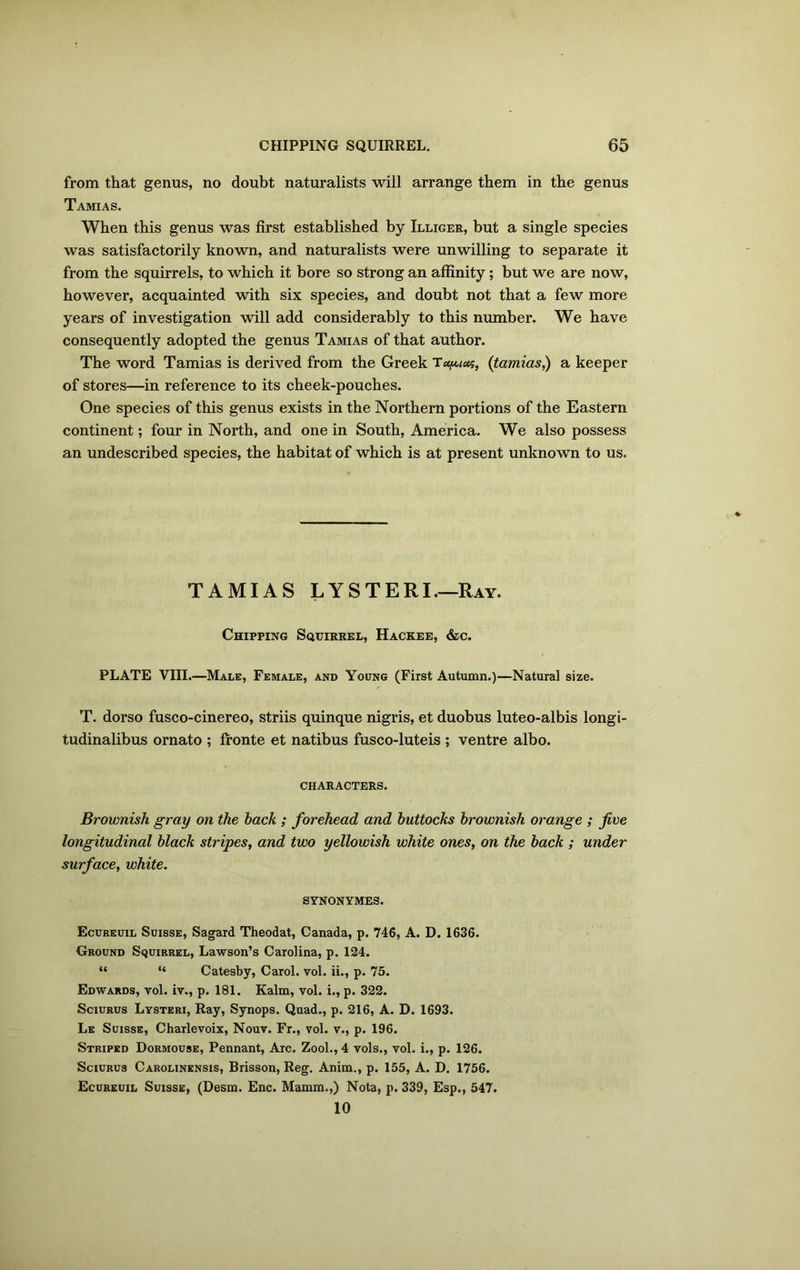 from that genus, no doubt naturalists will arrange them in the genus Tamias. When this genus was first established by Illiger, but a single species was satisfactorily known, and naturalists were unwilling to separate it from the squirrels, to which it bore so strong an affinity ; but we are now, however, acquainted with six species, and doubt not that a few more years of investigation will add considerably to this number. We have consequently adopted the genus Tamias of that author. The word Tamias is derived from the Greek (tamias) a keeper of stores—in reference to its cheek-pouches. One species of this genus exists in the Northern portions of the Eastern continent; four in North, and one in South, America. We also possess an undescribed species, the habitat of which is at present unknown to us. TAMIAS LYSTERI.—Ray. Chipping Squirrel, Hackee, &c. PLATE VIII.—Male, Female, and Young (First Autumn.)—Natural size. T. dorso fusco-cinereo, striis quinque nigris, et duobus luteo-albis longi- tudinalibus ornato ; fronte et natibus fusco-luteis ; ventre albo. CHARACTERS. Brownish gray on the hack ; forehead and buttocks brownish orange ; five longitudinal black stripes, and two yellowish white ones, on the back ; under surface, white. SYNONYMES. Ecureuil Suisse, Sagard Theodat, Canada, p. 746, A. D. 1636. Ground Squirrel, Lawson’s Carolina, p. 124. “ “ Catesby, Carol, vol. ii., p. 75. Edwards, vol. iv., p. 181. Kalm, vol. i., p. 322. Sciurus Lysteri, Ray, Synops. Quad., p. 216, A. D. 1693. Le Suisse, Charlevoix, Nouv. Fr., vol. v., p. 196. Striped Dormouse, Pennant, Arc. Zool., 4 vols., vol. i., p. 126. Sciurus Carolinensis, Brisson, Reg. Anim., p. 155, A. D. 1756. Ecureuil Suisse, (Desm. Enc. Mamm.,) Nota, p. 339, Esp., 547. 10