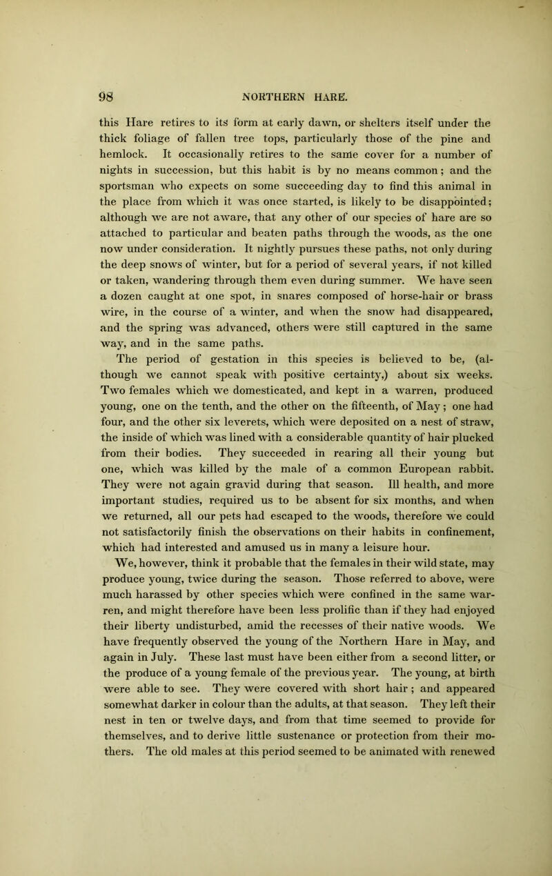 this Hare retires to its form at early dawn, or shelters itself under the thick foliage of fallen tree tops, particularly those of the pine and hemlock. It occasionally retires to the same cover for a number of nights in succession, but this habit is by no means common; and the sportsman who expects on some succeeding day to find this animal in the place from which it was once started, is likely to be disappointed; although we are not aware, that any other of our species of hare are so attached to particular and beaten paths through the woods, as the one now under consideration. It nightly pursues these paths, not only during the deep snows of winter, but for a period of several years, if not killed or taken, wandering through them even during summer. We have seen a dozen caught at one spot, in snares composed of horse-hair or brass wire, in the course of a winter, and when the snow had disappeared, and the spring was advanced, others were still captured in the same way, and in the same paths. The period of gestation in this species is believed to be, (al- though we cannot speak with positive certainty,) about six weeks. Two females which we domesticated, and kept in a warren, produced young, one on the tenth, and the other on the fifteenth, of May ; one had four, and the other six leverets, which were deposited on a nest of straw, the inside of which was lined with a considerable quantity of hair plucked from their bodies. They succeeded in rearing all their young but one, which was killed by the male of a common European rabbit. They were not again gravid during that season. Ill health, and more important studies, required us to be absent for six months, and when we returned, all our pets had escaped to the woods, therefore we could not satisfactorily finish the observations on their habits in confinement, which had interested and amused us in many a leisure hour. We, however, think it probable that the females in their wild state, may produce young, twice during the season. Those referred to above, were much harassed by other species which were confined in the same war- ren, and might therefore have been less prolific than if they had enjoyed their liberty undisturbed, amid the recesses of their native woods. We have frequently observed the young of the Northern Hare in May, and again in July. These last must have been either from a second litter, or the produce of a young female of the previous year. The young, at birth were able to see. They were covered with short hair; and appeared somewhat darker in colour than the adults, at that season. They left their nest in ten or twelve days, and from that time seemed to provide for themselves, and to derive little sustenance or protection from their mo- thers. The old males at this period seemed to be animated with renewed