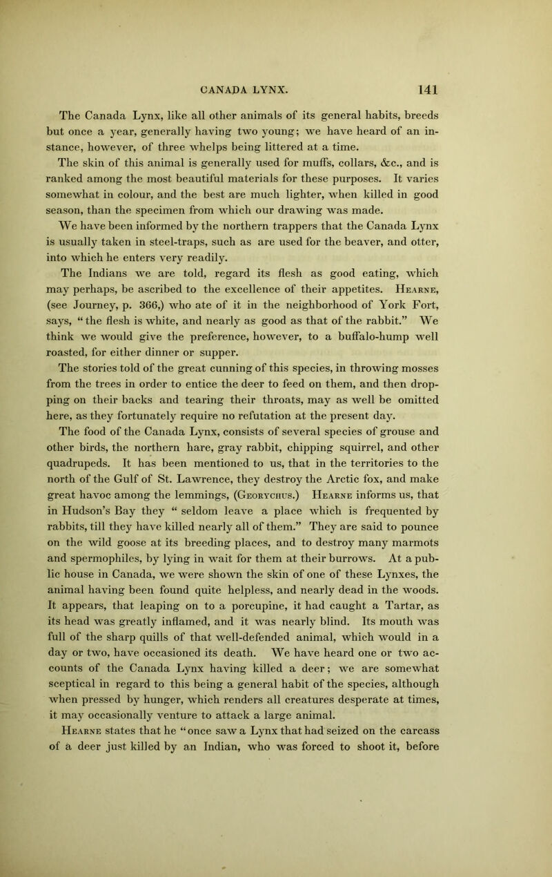 The Canada Lynx, like all other animals of its general habits, breeds but once a year, generally having two young; we have heard of an in- stance, however, of three whelps being littered at a time. The skin of this animal is generally used for muffs, collars, &c., and is ranked among the most beautiful materials for these purposes. It varies somewhat in colour, and the best are much lighter, when killed in good season, than the specimen from which our drawing was made. We have been informed by the northern trappers that the Canada Lynx is usually taken in steel-traps, such as are used for the beaver, and otter, into which he enters very readily. The Indians we are told, regard its flesh as good eating, which may perhaps, be ascribed to the excellence of their appetites. Hearne, (see Journey, p. 366,) who ate of it in the neighborhood of York Fort, says, “the flesh is white, and nearly as good as that of the rabbit.” We think we would give the preference, however, to a buffalo-hump well roasted, for either dinner or supper. The stories told of the great cunning of this species, in throwing mosses from the trees in order to entice the deer to feed on them, and then drop- ping on their backs and tearing their throats, may as well be omitted here, as they fortunately require no refutation at the present day. The food of the Canada Lynx, consists of several species of grouse and other birds, the northern hare, gray rabbit, chipping squirrel, and other quadrupeds. It has been mentioned to us, that in the territories to the north of the Gulf of St. Lawrence, they destroy the Arctic fox, and make great havoc among the lemmings, (Georychus.) Hearne informs us, that in Hudson’s Bay they “ seldom leave a place which is frequented by rabbits, till they have killed nearly all of them.” They are said to pounce on the wild goose at its breeding places, and to destroy many marmots and spermophiles, by lying in wait for them at their burrows. At a pub- lic house in Canada, we were shown the skin of one of these Lynxes, the animal having been found quite helpless, and nearly dead in the woods. It appears, that leaping on to a porcupine, it had caught a Tartar, as its head was greatly inflamed, and it was nearly blind. Its mouth was full of the sharp quills of that well-defended animal, which would in a day or two, have occasioned its death. We have heard one or two ac- counts of the Canada Lynx having killed a deer; we are somewhat sceptical in regard to this being a general habit of the species, although when pressed by hunger, which renders all creatures desperate at times, it may occasionally venture to attack a large animal. Hearne states that he “once saw a Lynx that had seized on the carcass of a deer just killed by an Indian, who was forced to shoot it, before