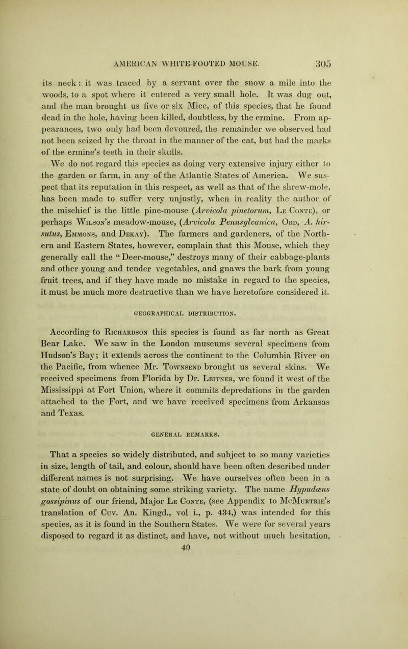 its neck : it was traced by a servant over the snow a mile into the woods, to a spot where it entered a very small hole. It was dug out, and the man brought us five or six Mice, of this species, that he found dead in the hole, having been killed, doubtless, by the ermine. From ap- pearances, two only had been devoured, the remainder we observed had not been seized by the throat in the manner of the cat, but had the marks of the ermine’s teeth in their skulls. We do not regard this species as doing very extensive injury either lo the garden or farm, in any of the Atlantic States of America. We sus- pect that its reputation in this respect, as well as that of the shrew-mole, has been made to suffer very unjustly, when in reality the author of the mischief is the little pine-mouse (Arvicola pinetorum, Le Conte), or perhaps Wilson’s meadow-mouse, (Arvicola Pennsyloanica, Ord, A. hir- sutus, Emmons, and Dekay). The farmers and gardeners, of the North- ern and Eastern States, however, complain that this Mouse, which they generally call the “ Deer-mouse,” destroys many of their cabbage-plants and other young and tender vegetables, and gnaws the bark from young fruit trees, and if they have made no mistake in regard to the species, it must be much more destructive than we have heretofore considered it. GEOGRAPHICAL DISTRIBUTION. According to Richardson this species is found as far north as Great Bear Lake. We saw in the London museums several specimens from Hudson’s Bay; it extends across the continent to the Columbia River on the Pacific, from whence Mr. Townsend brought us several skins. We received specimens from Florida by Dr. Leitner, we found it west of the Mississippi at Fort Union, where it commits depredations in the garden attached to the Fort, and we have received specimens from Arkansas and Texas. GENERAL REMARKS. That a species so widely distributed, and subject to so many varieties in size, length of tail, and colour, should have been often described under different names is not surprising. We have ourselves often been in a state of doubt on obtaining some striking variety. The name Hypudceus gossipinus of our friend, Major Le Conte, (see Appendix to McMurtrie’s translation of Cuv. An. Kingd., vol i., p. 434,) was intended for this species, as it is found in the Southern States. We were for several years disposed to regard it as distinct, and have, not without much hesitation, 40