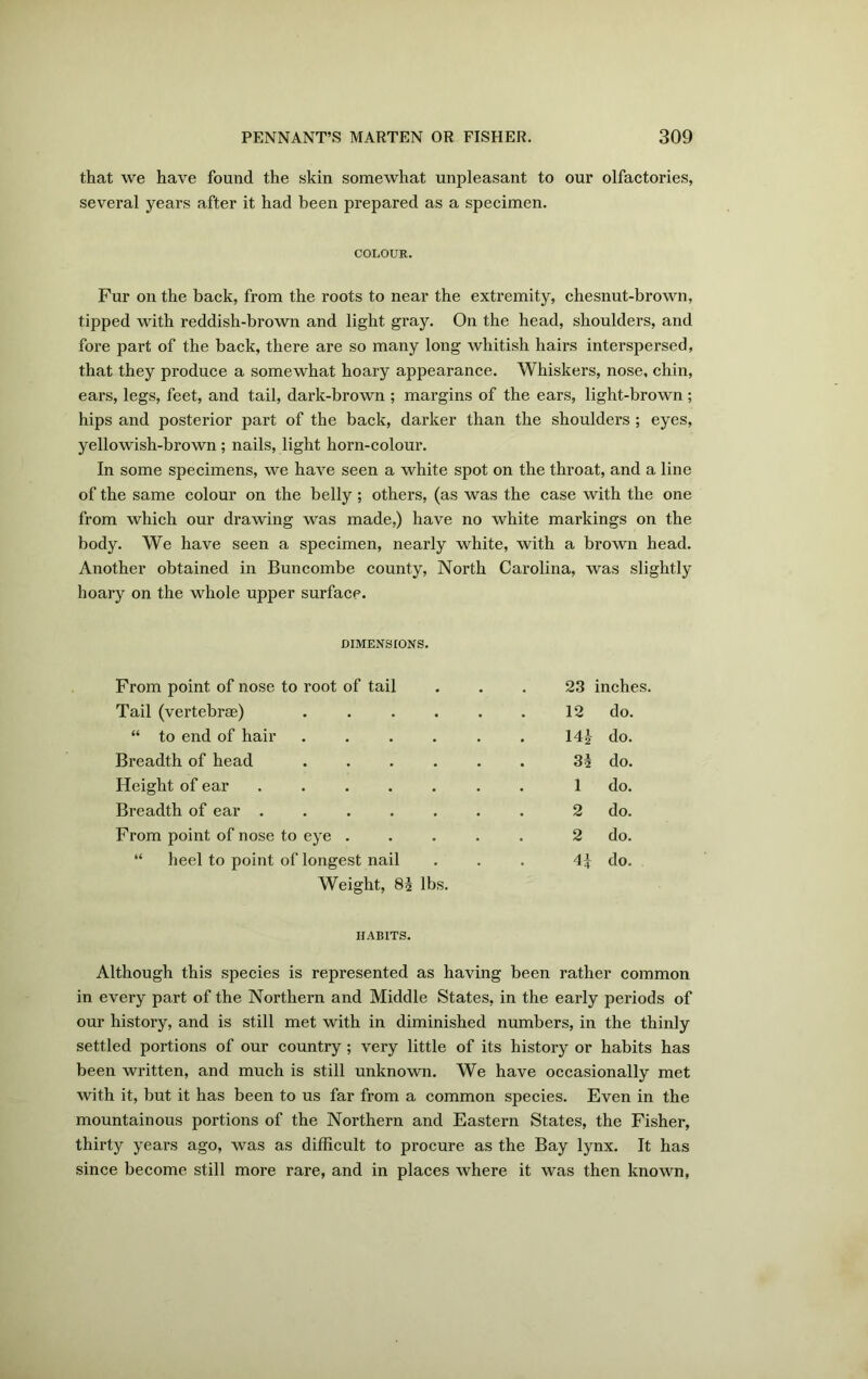 that we have found the skin somewhat unpleasant to our olfactories, several years after it had been prepared as a specimen. COLOUR. Fur on the back, from the roots to near the extremity, chesnut-brown, tipped with reddish-brown and light gray. On the head, shoulders, and fore part of the back, there are so many long whitish hairs interspersed, that they produce a somewhat hoary appearance. Whiskers, nose, chin, ears, legs, feet, and tail, dark-brown ; margins of the ears, light-brown; hips and posterior part of the back, darker than the shoulders ; eyes, yellowish-brown ; nails, light horn-colour. In some specimens, we have seen a white spot on the throat, and a line of the same colour on the belly ; others, (as was the case with the one from which our drawing was made,) have no white markings on the body. We have seen a specimen, nearly white, with a brown head. Another obtained in Buncombe county, North Carolina, was slightly hoary on the whole upper surface. DIMENSIONS. From point of nose to root of tail 23 inches. Tail (vertebrae) 12 do. “ to end of hair ...... 144 do. Breadth of head ...... 34 do. Height of ear ....... 1 do. Breadth of ear ....... 2 do. From point of nose to eye ..... 2 do. “ heel to point of longest nail 41 ■*4 do. Weight, 84 lbs. HABITS. Although this species is represented as having been rather common in every part of the Northern and Middle States, in the early periods of our history, and is still met with in diminished numbers, in the thinly settled portions of our country; very little of its history or habits has been written, and much is still unknown. We have occasionally met with it, but it has been to us far from a common species. Even in the mountainous portions of the Northern and Eastern States, the Fisher, thirty years ago, was as difficult to procure as the Bay lynx. It has since become still more rare, and in places where it was then known,