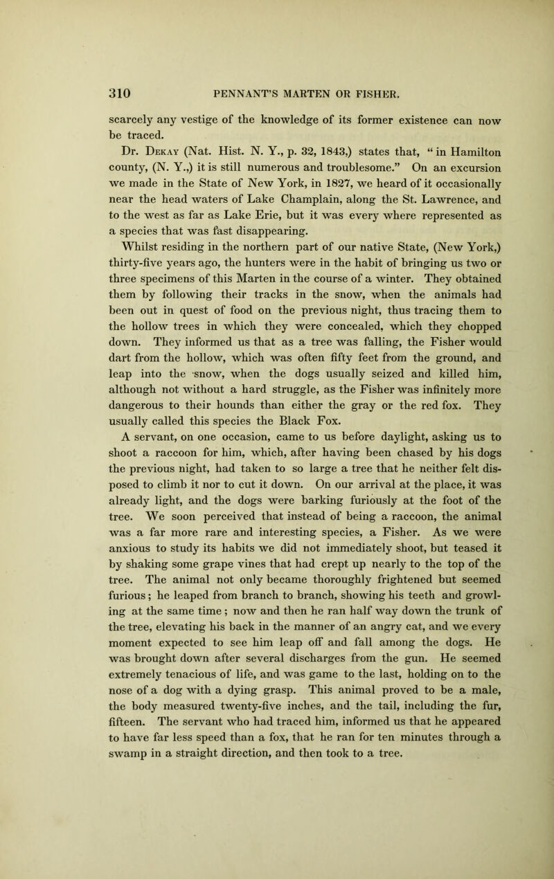 scarcely any vestige of the knowledge of its former existence can now be traced. Dr. Dekay (Nat. Hist. N. Y., p. 32, 1843,) states that, “ in Hamilton county, (N. Y.,) it is still numerous and troublesome.” On an excursion we made in the State of New York, in 1827, we heard of it occasionally near the head waters of Lake Champlain, along the St. Lawrence, and to the west as far as Lake Erie, but it was every where represented as a species that was fast disappearing. Whilst residing in the northern part of our native State, (New York,) thirty-five years ago, the hunters were in the habit of bringing us two or three specimens of this Marten in the course of a winter. They obtained them by following their tracks in the snow, when the animals had been out in quest of food on the previous night, thus tracing them to the hollow trees in which they were concealed, which they chopped down. They informed us that as a tree was falling, the Fisher would dart from the hollow, which was often fifty feet from the ground, and leap into the snow, when the dogs usually seized and killed him, although not without a hard struggle, as the Fisher was infinitely more dangerous to their hounds than either the gray or the red fox. They usually called this species the Black Fox. A servant, on one occasion, came to us before daylight, asking us to shoot a raccoon for him, which, after having been chased by his dogs the previous night, had taken to so large a tree that he neither felt dis- posed to climb it nor to cut it down. On our arrival at the place, it was already light, and the dogs were barking furiously at the foot of the tree. We soon perceived that instead of being a raccoon, the animal was a far more rare and interesting species, a Fisher. As we were anxious to study its habits we did not immediately shoot, but teased it by shaking some grape vines that had crept up nearly to the top of the tree. The animal not only became thoroughly frightened but seemed furious ; he leaped from branch to branch, showing his teeth and growl- ing at the same time; now and then he ran half way down the trunk of the tree, elevating his back in the manner of an angry cat, and we every moment expected to see him leap off and fall among the dogs. He was brought down after several discharges from the gun. He seemed extremely tenacious of life, and was game to the last, holding on to the nose of a dog with a dying grasp. This animal proved to be a male, the body measured twenty-five inches, and the tail, including the fur, fifteen. The servant who had traced him, informed us that he appeared to have far less speed than a fox, that he ran for ten minutes through a swamp in a straight direction, and then took to a tree.