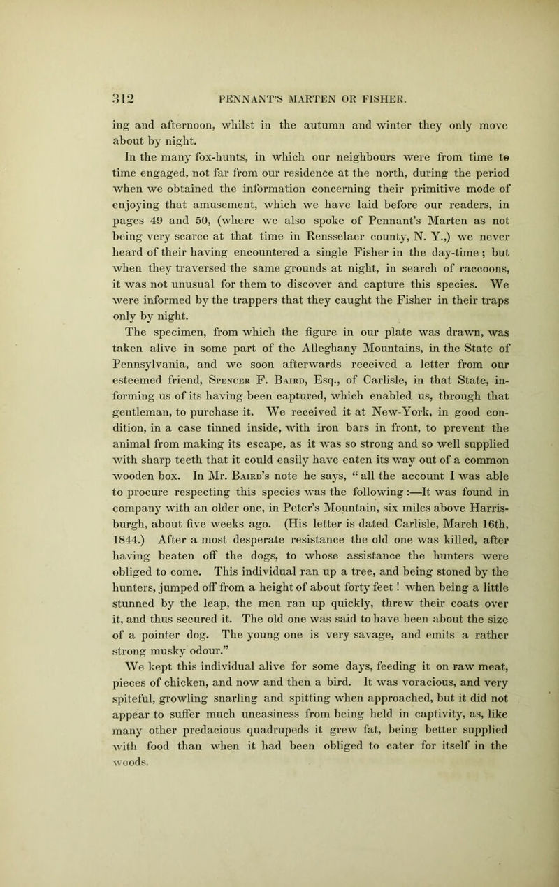 ing and afternoon, whilst in the autumn and winter they only move about by night. In the many fox-hunts, in which our neighbours were from time te time engaged, not far from our residence at the north, during the period when we obtained the information concerning their primitive mode of enjoying that amusement, which we have laid before our readers, in pages 49 and 50, (where we also spoke of Pennant’s Marten as not being very scarce at that time in Rensselaer county, N. Y.,) we never heard of their having encountered a single Fisher in the day-time ; but when they traversed the same grounds at night, in search of raccoons, it was not unusual for them to discover and capture this species. We were informed by the trappers that they caught the Fisher in their traps only by night. The specimen, from which the figure in our plate was drawn, was taken alive in some part of the Alleghany Mountains, in the State of Pennsylvania, and we soon afterwards received a letter from our esteemed friend, Spencer F. Baird, Esq., of Carlisle, in that State, in- forming us of its having been captured, which enabled us, through that gentleman, to purchase it. We received it at New-York, in good con- dition, in a case tinned inside, with iron bars in front, to prevent the animal from making its escape, as it was so strong and so well supplied with sharp teeth that it could easily have eaten its way out of a common wooden box. In Mr. Baird’s note he says, “ all the account I was able to procure respecting this species was the following:—It was found in company with an older one, in Peter’s Mountain, six miles above Harris- burgh, about five weeks ago. (His letter is dated Carlisle, March 16th, 1844.) After a most desperate resistance the old one was killed, after having beaten off the dogs, to whose assistance the hunters were obliged to come. This individual ran up a tree, and being stoned by the hunters, jumped off from a height of about forty feet ! when being a little stunned by the leap, the men ran up quickly, threw their coats over it, and thus secured it. The old one was said to have been about the size of a pointer dog. The young one is very savage, and emits a rather strong musky odour.” We kept this individual alive for some days, feeding it on raw meat, pieces of chicken, and now and then a bird. It was voracious, and very spiteful, growling snarling and spitting when approached, but it did not appear to suffer much uneasiness from being held in captivity, as, like many other predacious quadrupeds it grew fat, being better supplied with food than when it had been obliged to cater for itself in the woods.