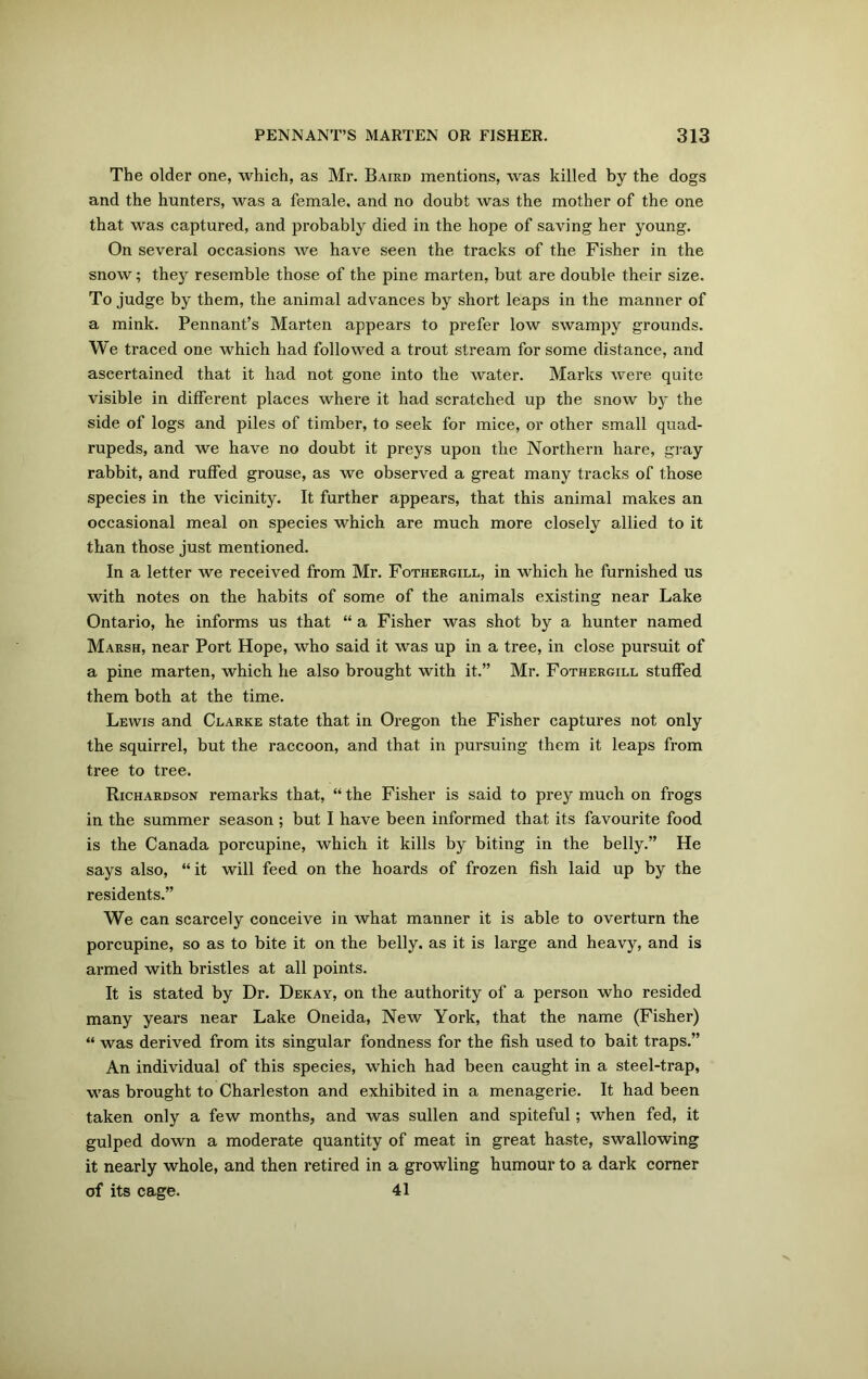 The older one, which, as Mr. Baird mentions, was killed by the dogs and the hunters, was a female, and no doubt was the mother of the one that was captured, and probably died in the hope of saving her young. On several occasions we have seen the tracks of the Fisher in the snow; they resemble those of the pine marten, but are double their size. To judge by them, the animal advances by short leaps in the manner of a mink. Pennant’s Marten appears to prefer low swampy grounds. We traced one which had followed a trout stream for some distance, and ascertained that it had not gone into the water. Marks were quite visible in different places where it had scratched up the snow by the side of logs and piles of timber, to seek for mice, or other small quad- rupeds, and we have no doubt it preys upon the Northern hare, gray rabbit, and ruffed grouse, as we observed a great many tracks of those species in the vicinity. It further appears, that this animal makes an occasional meal on species which are much more closely allied to it than those just mentioned. In a letter we received from Mr. Fothergill, in which he furnished us with notes on the habits of some of the animals existing near Lake Ontario, he informs us that “ a Fisher was shot by a hunter named Marsh, near Port Hope, who said it was up in a tree, in close pursuit of a pine marten, which he also brought with it.” Mr. Fothergill stuffed them both at the time. Lewis and Clarke state that in Oregon the Fisher captures not only the squirrel, but the raccoon, and that in pursuing them it leaps from tree to tree. Richardson remarks that, “ the Fisher is said to prey much on frogs in the summer season ; but I have been informed that its favourite food is the Canada porcupine, which it kills by biting in the belly.” He says also, “ it will feed on the hoards of frozen fish laid up by the residents.” We can scarcely conceive in what manner it is able to overturn the porcupine, so as to bite it on the belly, as it is large and heavy, and is armed with bristles at all points. It is stated by Dr. Dekay, on the authority of a person who resided many years near Lake Oneida, New York, that the name (Fisher) “ was derived from its singular fondness for the fish used to bait traps.” An individual of this species, which had been caught in a steel-trap, was brought to Charleston and exhibited in a menagerie. It had been taken only a few months, and was sullen and spiteful; when fed, it gulped down a moderate quantity of meat in great haste, swallowing it nearly whole, and then retired in a growling humour to a dark corner of its cage. 41