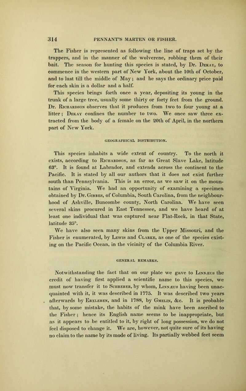 The Fisher is represented as following the line of traps set by the trappers, and in the manner of the wolverene, robbing them of their bait. The season for hunting this species is stated, by Dr. Dekay, to commence in the western part of New York, about the 10th of October, and to last till the middle of May; and he says the ordinary price paid for each skin is a dollar and a half. This species brings forth once a year, depositing its young in the trunk of a large tree, usually some thirty or forty feet from the ground. Dr. Richardson observes that it produces from two to four young at a litter; Dekay confines the number to two. We once saw three ex- tracted from the body of a female on the 20th of April, in the northern part of New York. GEOGRAPHICAL DISTRIBUTION. This species inhabits a wide extent of country. To the north it exists, according to Richardson, as far as Great Slave Lake, latitude 63°. It is found at Labrador, and extends across the continent to the Pacific. It is stated by all our authors that it does not exist further south than Pennsylvania. This is an error, as we saw it on the moun- tains of Virginia. We had an opportunity of examining a specimen obtained by Dr. Gibbes, of Columbia, South Carolina, from the neighbour- hood of Ashville, Buncombe county, North Carolina. We have seen several skins procured in East Tennessee, and we have heard of at least one individual that was captured near Flat-Rock, in that State, latitude 35°. We have also seen many skins from the Upper Missouri, and the Fisher is enumerated, by Lewis and Clarke, as one of the species exist- ing on the Pacific Ocean, in the vicinity of the Columbia River. general remarks. Notwithstanding the fact that on our plate we gave to Linnaeus the credit of having first applied a scientific name to this species, we must now transfer it to Schreber, by whom, Linnaeus having been unac- quainted with it, it was described in 1775. It was described two years . afterwards by Erxleben, and in 1788, by Gmelin, &c. It is probable that, by some mistake, the habits of the mink have been ascribed to the Fisher; hence its English name seems to be inappropriate, but as it appears to be entitled to it, by right of long possession, we do not feel disposed to change it. We are, however, not quite sure of its having no claim to the name by its mode of living. Its partially webbed feet seem