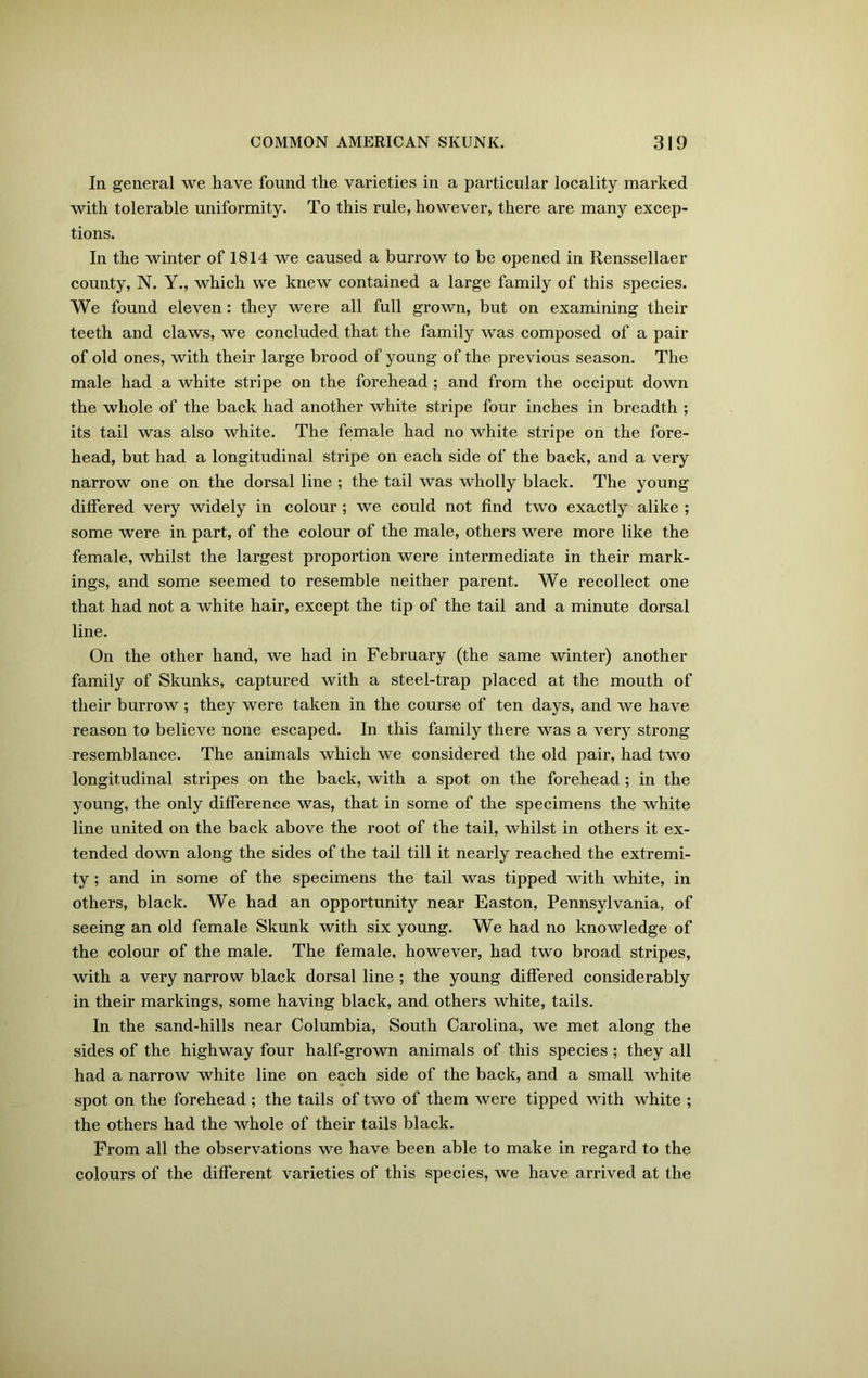 In general we have found the varieties in a particular locality marked with tolerable uniformity. To this rule, however, there are many excep- tions. In the winter of 1814 we caused a burrow to be opened in Renssellaer county, N. Y., which we knew contained a large family of this species. We found eleven: they were all full grown, but on examining their teeth and claws, we concluded that the family was composed of a pair of old ones, with their large brood of young of the previous season. The male had a white stripe on the forehead ; and from the occiput down the whole of the back had another white stripe four inches in breadth ; its tail was also white. The female had no white stripe on the fore- head, but had a longitudinal stripe on each side of the back, and a very narrow one on the dorsal line ; the tail was wholly black. The young differed very widely in colour ; we could not find two exactly alike ; some were in part, of the colour of the male, others were more like the female, whilst the largest proportion were intermediate in their mark- ings, and some seemed to resemble neither parent. We recollect one that had not a white hair, except the tip of the tail and a minute dorsal line. On the other hand, we had in February (the same winter) another family of Skunks, captured with a steel-trap placed at the mouth of their burrow ; they were taken in the course of ten days, and we have reason to believe none escaped. In this family there was a very strong resemblance. The animals which we considered the old pair, had two longitudinal stripes on the back, with a spot on the forehead ; in the young, the only difference was, that in some of the specimens the white line united on the back above the root of the tail, whilst in others it ex- tended down along the sides of the tail till it nearly reached the extremi- ty ; and in some of the specimens the tail was tipped with white, in others, black. We had an opportunity near Easton, Pennsylvania, of seeing an old female Skunk with six young. We had no knowledge of the colour of the male. The female, however, had two broad stripes, with a very narrow black dorsal line ; the young differed considerably in their markings, some having black, and others white, tails. In the sand-hills near Columbia, South Carolina, we met along the sides of the highway four half-grown animals of this species ; they all had a narrow white line on each side of the back, and a small white spot on the forehead ; the tails of two of them were tipped with white ; the others had the whole of their tails black. From all the observations we have been able to make in regard to the colours of the different varieties of this species, we have arrived at the