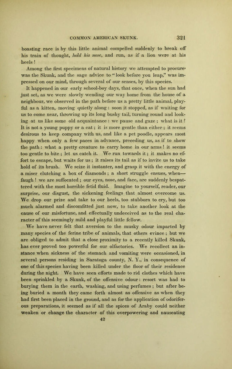 boasting race is by this little animal compelled suddenly to break off his train of thought, hold his nose, and run, as if a lion were at his heels ! Among the first specimens of natural history we attempted to procure* was the Skunk, and the sage advice to “ look before you leap,” was im- pressed on our mind, through several of our senses, by this species. It happened in our early school-boy days, that once, when the sun had just set, as we were slowly wending our way home from the house of a neighbour, we observed in the path before us a pretty little animal, play- ful as a kitten, moving quietly along: soon it stopped, as if waiting for us to come near, throwing up its long bushy tail, turning round and look- ing at us like some old acquaintance : we pause and gaze ; what is it ? It is not a young puppy or a cat; it is more gentle than either ; it seems desirous to keep company with us, and like a pet poodle, appears most happy when only a few paces in advance, preceding us, as if to show the path: what a pretty creature to carry home in our arms ! it seems too gentle to bite ; let us catch it. We run towards it; it makes no ef- fort to escape, but waits for us; it raises its tail as if to invite us to take hold of its brush. We seize it instanter, and grasp it with the energy of a miser clutching a box of diamonds ; a short struggle ensues, when— faugh ! we are suffocated ; our eyes, nose, and face, are suddenly bespat- tered with the most horrible fetid fluid. Imagine to yourself, reader, our surprise, our disgust, the sickening feelings that almost overcome us. We drop our prize and take to our heels, too stubborn to cry, but too much alarmed and discomfitted just now, to take another look at the cause of our misfortune, and effectually undeceived as to the real cha- racter of this seemingly mild and playful little fellow. We have never felt that aversion to the musky odour imparted by many species of the ferine tribe of animals, that others evince ; but we are obliged to admit that a close proximity to a recently killed Skunk, has ever proved too powerful for our olfactories. We recollect an in- stance when sickness of the stomach and vomiting were occasioned, in several persons residing in Saratoga county, N. Y., in consequence of one of this species having been killed under the floor of their residence during the night. We have seen efforts made to rid clothes which have been sprinkled by a Skunk, of the offensive odour: resort was had to burying them in the earth, washing, and using perfumes ; but after be- ing buried a month they came forth almost as offensive as when they had first been placed in the ground, and as for the application of odorifer- ous preparations, it seemed as if all the spices of Araby could neither weaken or change the character of this overpowering and nauseating 42