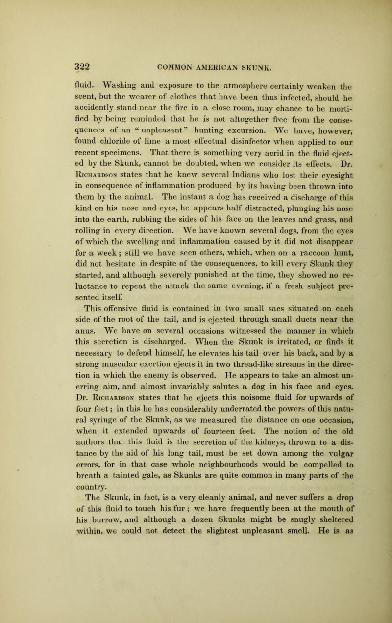 fluid. Washing and exposure to the atmosphere certainly weaken the scent, but the wearer of clothes that have been thus infected, should he accidently stand near the fire in a close room, may chance to be morti- fied by being reminded that he is not altogether free from the conse- quences of an “unpleasant” hunting excursion. We have, however, found chloride of lime a most effectual disinfector when applied to our recent specimens. That there is something very acrid in the fluid eject- ed by the Skunk, cannot be doubted, when we consider its effects. Dr. Richardson states that he knew several Indians who lost their eyesight in consequence of inflammation produced by its having been thrown into them by the animal. The instant a dog has received a discharge of this kind on his nose and eyes, he appears half distracted, plunging his nose into the earth, rubbing the sides of his face on the leaves and grass, and rolling in every direction. We have known several dogs, from the eyes of which the swelling and inflammation caused by it did not disappear for a week ; still we have seen others, which, when on a raccoon hunt, did not hesitate in despite of the consequences, to kill every Skunk they started, and although severely punished at the time, they showed no re- luctance to repeat the attack the same evening, if a fresh subject pre- sented itself. This offensive fluid is contained in two small sacs situated on each side of the root of the tail, and is ejected through small ducts near the anus. We have on several occasions witnessed the manner in which this secretion is discharged. When the Skunk is irritated, or finds it necessary to defend himself, he elevates his tail over his back, and by a strong muscular exertion ejects it in two thread-like streams in the direc- tion in which the enemy is observed. He appears to take an almost un- erring aim, and almost invariably salutes a dog in his face and eyes. Dr. Richardson states that he ejects this noisome fluid for upwards of four feet; in this he has considerably underrated the powers of this natu- ral syringe of the Skunk, as we measured the distance on one occasion, when it extended upwards of fourteen feet. The notion of the old authors that this fluid is the secretion of the kidneys, thrown to a dis- tance by the aid of his long tail, must be set down among the vulgar errors, for in that case whole neighbourhoods would be compelled to breath a tainted gale, as Skunks are quite common in many parts of the country. The Skunk, in fact, is a very cleanly animal, and never suffers a drop of this fluid to touch his fur ; we have frequently been at the mouth of his burrow, and although a dozen Skunks might be snugly sheltered within, we could not detect the slightest unpleasant smell. He is a3