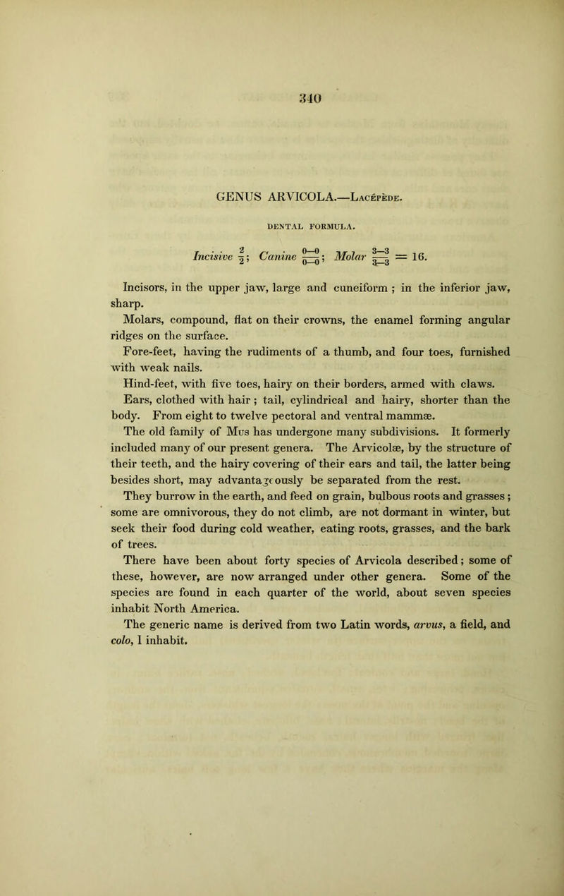 GENUS ARYICOLA.—Lacepede. DENTAL FORMULA. Incisive |; Canine ; Molar = 16. Incisors, in the upper jaw, large and cuneiform ; in the inferior jaw, sharp. Molars, compound, flat on their crowns, the enamel forming angular ridges on the surface. Fore-feet, having the rudiments of a thumb, and four toes, furnished with weak nails. Hind-feet, with five toes, hairy on their borders, armed with claws. Ears, clothed with hair ; tail, cylindrical and hairy, shorter than the body. From eight to twelve pectoral and ventral mammae. The old family of Mus has undergone many subdivisions. It formerly included many of our present genera. The Arvicolae, by the structure of their teeth, and the hairy covering of their ears and tail, the latter being besides short, may advantage ously be separated from the rest. They burrow in the earth, and feed on grain, bulbous roots and grasses ; some are omnivorous, they do not climb, are not dormant in winter, but seek their food during cold weather, eating roots, grasses, and the bark of trees. There have been about forty species of Arvicola described; some of these, however, are now arranged under other genera. Some of the species are found in each quarter of the world, about seven species inhabit North America. The generic name is derived from two Latin words, arvus, a field, and colo, 1 inhabit.