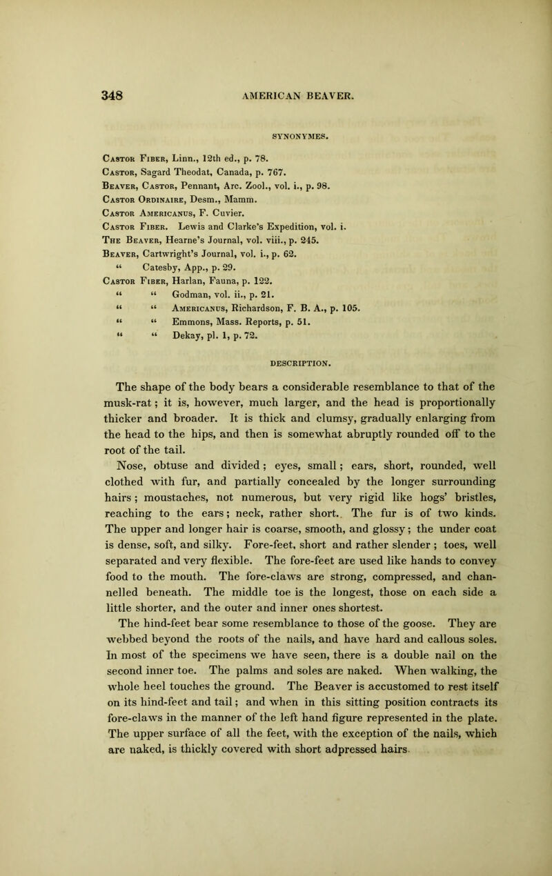 SYNONYMES. Castor Fiber, Linn., 12th ed., p. 78. Castor, Sagard Theodat, Canada, p. 767. Beaver, Castor, Pennant, Arc. Zool., vol. i., p. 98. Castor Ordinaire, Desm., Mamra. Castor Americanus, F. Cuvier. Castor Fiber. Lewis and Clarke’s Expedition, vol. i. The Beaver, Hearne’s Journal, vol. viii., p. 245. Beaver, Cartwright’s Journal, vol. i., p. 62. “ Catesby, App., p. 29. Castor Fiber, Harlan, Fauna, p. 122. “ “ Godman, vol. ii., p. 21. “ “ Americanus, Richardson, F. B. A., p. 105. “ “ Emmons, Mass. Reports, p. 51. “ “ Dekay, pi. 1, p. 72. DESCRIPTION. The shape of the body bears a considerable resemblance to that of the musk-rat; it is, however, much larger, and the head is proportionally thicker and broader. It is thick and clumsy, gradually enlarging from the head to the hips, and then is somewhat abruptly rounded off to the root of the tail. Nose, obtuse and divided; eyes, small; ears, short, rounded, well clothed with fur, and partially concealed by the longer surrounding hairs ; moustaches, not numerous, but very rigid like hogs’ bristles, reaching to the ears; neck, rather short. The fur is of two kinds. The upper and longer hair is coarse, smooth, and glossy; the under coat is dense, soft, and silky. Fore-feet, short and rather slender ; toes, well separated and very flexible. The fore-feet are used like hands to convey food to the mouth. The fore-claws are strong, compressed, and chan- nelled beneath. The middle toe is the longest, those on each side a little shorter, and the outer and inner ones shortest. The hind-feet bear some resemblance to those of the goose. They are webbed beyond the roots of the nails, and have hard and callous soles. In most of the specimens we have seen, there is a double nail on the second inner toe. The palms and soles are naked. When walking, the whole heel touches the ground. The Beaver is accustomed to rest itself on its hind-feet and tail; and when in this sitting position contracts its fore-claws in the manner of the left hand figure represented in the plate. The upper surface of all the feet, with the exception of the nails, which are naked, is thickly covered with short adpressed hairs.