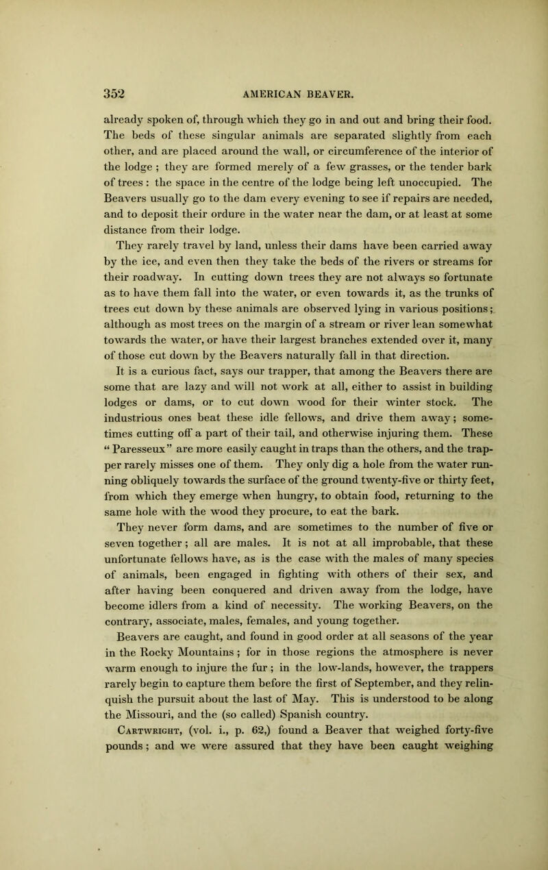 already spoken of, through which they go in and out and bring their food. The beds of these singular animals are separated slightly from each other, and are placed around the wall, or circumference of the interior of the lodge ; they are formed merely of a few grasses, or the tender bark of trees : the space in the centre of the lodge being left unoccupied. The Beavers usually go to the dam every evening to see if repairs are needed, and to deposit their ordure in the water near the dam, or at least at some distance from their lodge. They rarely travel by land, unless their dams have been carried away by the ice, and even then they take the beds of the rivers or streams for their roadway. In cutting down trees they are not always so fortunate as to have them fall into the water, or even towards it, as the trunks of trees cut down by these animals are observed lying in various positions; although as most trees on the margin of a stream or river lean somewhat towards the water, or have their largest branches extended over it, many of those cut down by the Beavers naturally fall in that direction. It is a curious fact, says our trapper, that among the Beavers there are some that are lazy and will not work at all, either to assist in building lodges or dams, or to cut down wood for their winter stock. The industrious ones beat these idle fellows, and drive them away; some- times cutting of!' a part of their tail, and otherwise injuring them. These “ Paresseux” are more easily caught in traps than the others, and the trap- per rarely misses one of them. They only dig a hole from the water run- ning obliquely towards the surface of the ground twenty-five or thirty feet, from which they emerge when hungry, to obtain food, returning to the same hole with the wood they procure, to eat the bark. They never form dams, and are sometimes to the number of five or seven together; all are males. It is not at all improbable, that these unfortunate fellows have, as is the case with the males of many species of animals, been engaged in fighting with others of their sex, and after having been conquered and driven away from the lodge, have become idlers from a kind of necessity. The working Beavers, on the contrary, associate, males, females, and young together. Beavers are caught, and found in good order at all seasons of the year in the Rocky Mountains; for in those regions the atmosphere is never warm enough to injure the fur ; in the low-lands, however, the trappers rarely begin to capture them before the first of September, and they relin- quish the pursuit about the last of May. This is understood to be along the Missouri, and the (so called) Spanish country. Cartwright, (vol. i., p. 62,) found a Beaver that weighed forty-five pounds; and we were assured that they have been caught weighing