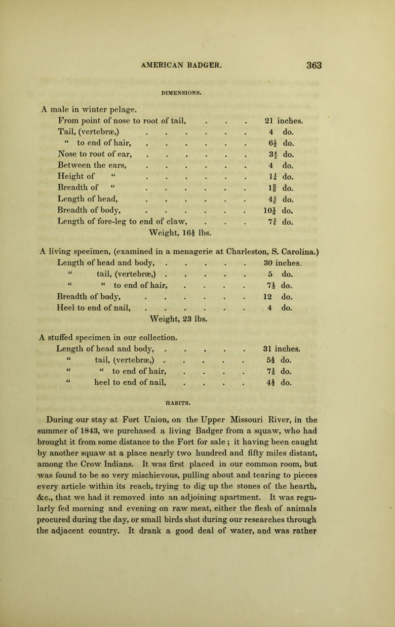DIMENSIONS. A male in winter pelage. From point of nose to root of tail, 21 inches. Tail, (vertebrae,) ...... 4 do. “ to end of hair, ...... do. Nose to root of ear, 3f do. Between the ears, ...... 4 do. Height of “ ...... 1| do. Breadth of “ ...... 1| do. Length of head, ...... 4f do. Breadth of body, ...... 10J do. Length of fore-leg to end of claw, 71 do. Weight, 16£ lbs. living specimen, (examined in a menagerie at Charleston, S. Carolina Length of head and body, ..... 30 inches. “ tail, (vertebrae,) 5 do. “ “ to end of hair, .... do. Breadth of body, ...... 12 do. Heel to end of nail, ...... 4 do. Weight, 23 lbs. stuffed specimen in our collection. Length of head and body, ..... 31 inches. “ tail, (vertebras,) ..... 5i do. “ “ to end of hair, .... 7h do. “ heel to end of nail, .... 4i do. HABITS. During our stay at Fort Union, on the Upper Missouri River, in the summer of 1843, we purchased a living Badger from a squaw, who had brought it from some distance to the Fort for sale ; it having been caught by another squaw at a place nearly two hundred and fifty miles distant, among the Crow Indians. It was first placed in our common room, but was found to be so very mischievous, pulling about and tearing to pieces every article within its reach, trying to dig up the stones of the hearth, &c., that we had it removed into an adjoining apartment. It was regu- larly fed morning and evening on raw meat, either the flesh of animals procured during the day, or small birds shot during our researches through the adjacent country. It drank a good deal of water, and was rather