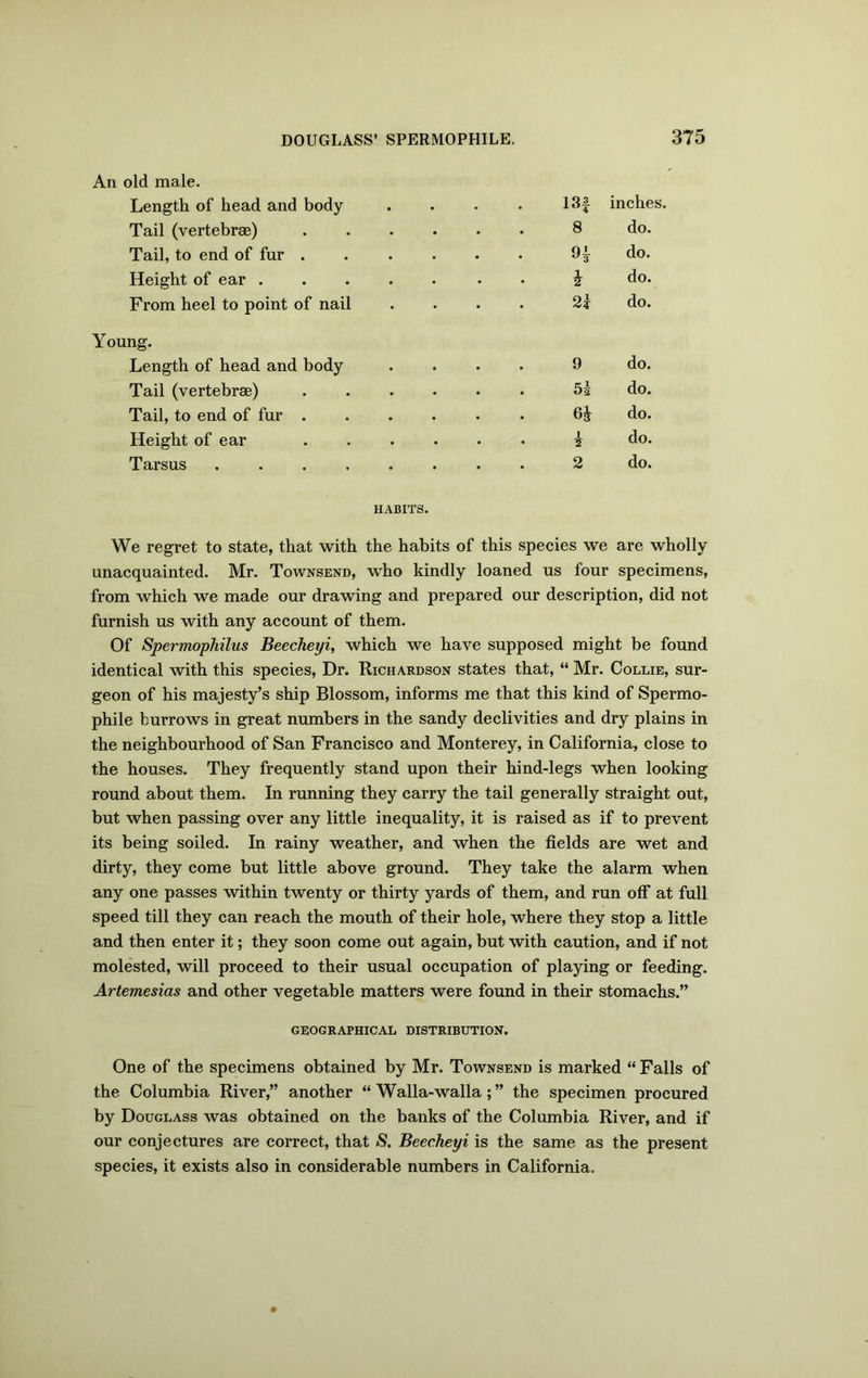 An old male. Length of head and body .... 13f inches. Tail (vertebrae) 8 do. Tail, to end of fur ...... do. Height of ear ..... . l do. From heel to point of nail .... 2k do. Young. Length of head and body .... 9 do. Tail (vertebrae) ...... 5i do. Tail, to end of fur do. Height of ear ...... i do. Tarsus 2 do. HABITS. We regret to state, that with the habits of this species we are wholly unacquainted. Mr. Townsend, who kindly loaned us four specimens, from which we made our drawing and prepared our description, did not furnish us with any account of them. Of Spermophilus Beecheyi, which we have supposed might be found identical with this species, Dr. Richardson states that, “ Mr. Collie, sur- geon of his majesty’s ship Blossom, informs me that this kind of Spermo- phile burrows in great numbers in the sandy declivities and dry plains in the neighbourhood of San Francisco and Monterey, in California, close to the houses. They frequently stand upon their hind-legs when looking round about them. In running they carry the tail generally straight out, but when passing over any little inequality, it is raised as if to prevent its being soiled. In rainy weather, and when the fields are wet and dirty, they come but little above ground. They take the alarm when any one passes within twenty or thirty yards of them, and run off at full speed till they can reach the mouth of their hole, where they stop a little and then enter it; they soon come out again, but with caution, and if not molested, will proceed to their usual occupation of playing or feeding. Artemesias and other vegetable matters were found in their stomachs.” GEOGRAPHICAL DISTRIBUTION. One of the specimens obtained by Mr. Townsend is marked “ Falls of the Columbia River,” another “ Walla-walla; ” the specimen procured by Douglass was obtained on the banks of the Columbia River, and if our conjectures are correct, that S. Beecheyi is the same as the present species, it exists also in considerable numbers in California.