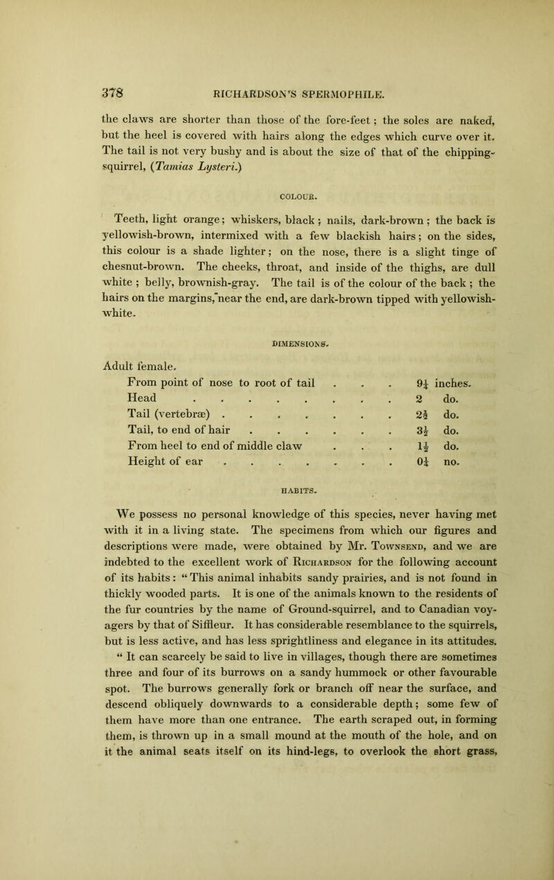 the claws are shorter than those of the fore-feet; the soles are naked, but the heel is covered with hairs along the edges which curve over it. The tail is not very bushy and is about the size of that of the ehipping- squirrel, (Tamias Lysteri.) colour. Teeth, light orange; whiskers, black; nails, dark-brown; the back is yellowish-brown, intermixed with a few blackish hairs; on the sides, this colour is a shade lighter; on the nose, there is a slight tinge of chesnut-brown. The cheeks, throat, and inside of the thighs, are dull white ; belly, brownish-gray. The tail is of the colour of the back ; the hairs on the margins,near the end, are dark-brown tipped with yellowish- white. DIMENSIONS. Adult female. From point of nose to root of tail * 9i inches Head ...... 2 do. Tail (vertebrae) ..... • 2i do. Tail, to end of hair .... # sh do. From heel to end of middle claw • H do. Height of ear r • o* no. HABITS. We possess no personal knowledge of this species, never having met with it in a living state. The specimens from which our figures and descriptions were made, were obtained by Mr. Townsend, and we are indebted to the excellent work of Richardson for the following account of its habits: “ This animal inhabits sandy prairies, and is not found in thickly wooded parts. It is one of the animals known to the residents of the fur countries by the name of Ground-squirrel, and to Canadian voy- agers by that of Siffleur. It has considerable resemblance to the squirrels, but is less active, and has less sprightliness and elegance in its attitudes. “ It can scarcely be said to live in villages, though there are sometimes three and four of its burrows on a sandy hummock or other favourable spot. The burrows generally fork or branch off near the surface, and descend obliquely downwards to a considerable depth; some few of them have more than one entrance. The earth scraped out, in forming them, is thrown up in a small mound at the mouth of the hole, and on it the animal seats itself on its hind-legs, to overlook the short grass,
