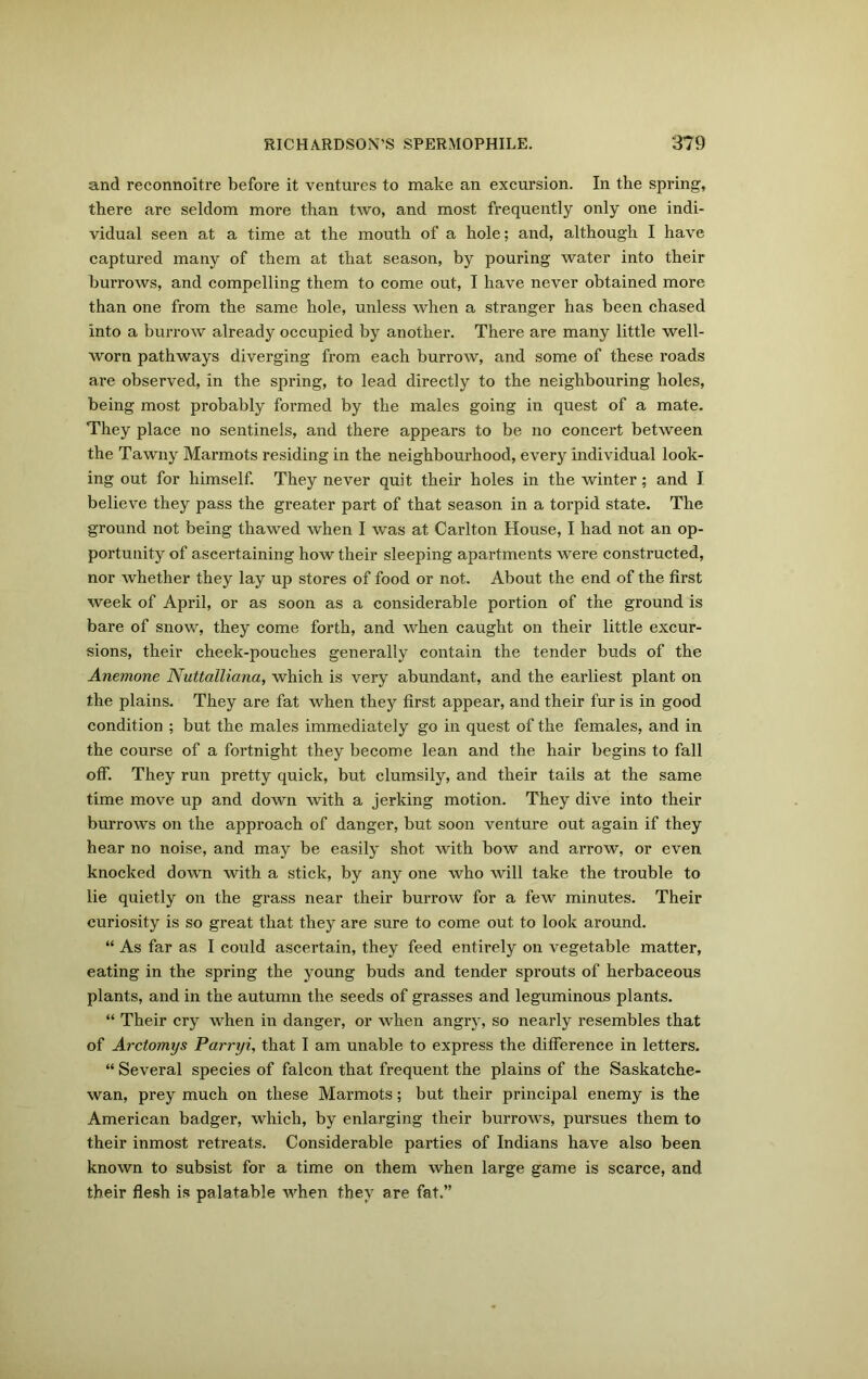 and reconnoitre before it ventures to make an excursion. In the spring, there are seldom more than two, and most frequently only one indi- vidual seen at a time at the mouth of a hole; and, although I have captured many of them at that season, by pouring water into their burrows, and compelling them to come out, I have never obtained more than one from the same hole, unless when a stranger has been chased into a burrow already occupied by another. There are many little well- worn pathways diverging from each burrow, and some of these roads are observed, in the spring, to lead directly to the neighbouring holes, being most probably formed by the males going in quest of a mate. They place no sentinels, and there appears to be no concert between the Tawny Marmots residing in the neighbourhood, every individual look- ing out for himself. They never quit their holes in the winter; and I believe they pass the greater part of that season in a torpid state. The ground not being thawed when I was at Carlton House, I had not an op- portunity of ascertaining how their sleeping apartments were constructed, nor whether they lay up stores of food or not. About the end of the first week of April, or as soon as a considerable portion of the ground is bare of snow, they come forth, and when caught on their little excur- sions, their cheek-pouches generally contain the tender buds of the Anemone Nuttalliana, which is very abundant, and the earliest plant oil the plains. They are fat when they first appear, and their fur is in good condition ; but the males immediately go in quest of the females, and in the course of a fortnight they become lean and the hair begins to fall off. They run pretty quick, but clumsily, and their tails at the same time move up and down with a jerking motion. They dive into their burrows on the approach of danger, but soon venture out again if they hear no noise, and may be easily shot with bow and arrow, or even knocked down with a stick, by any one who will take the trouble to lie quietly on the grass near their burrow for a few minutes. Their curiosity is so great that they are sure to come out to look around. “ As far as I could ascertain, they feed entirely on vegetable matter, eating in the spring the young buds and tender sprouts of herbaceous plants, and in the autumn the seeds of grasses and leguminous plants. “ Their cry when in danger, or when angry, so nearly resembles that of Arctomys Parryi, that I am unable to express the difference in letters. “ Several species of falcon that frequent the plains of the Saskatche- wan, prey much on these Marmots; but their principal enemy is the American badger, which, by enlarging their burrows, pursues them to their inmost retreats. Considerable parties of Indians have also been known to subsist for a time on them when large game is scarce, and their flesh is palatable when they are fat.”