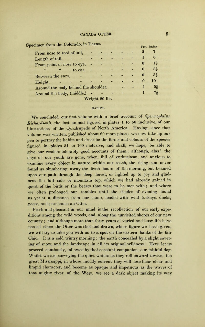 Specimen from the Colorado, in Texas. From nose to root of tail, Length of tail, - From point of nose to eye, - “ “ to ear, - Between the ears, - Height, ------ Around the body behind the shoulder, Around the body, (middle,) - Weight 20 lbs. HABITS. Feet Inches. 2 7 1 6 0 If 0 3f 0 3f 0 10 1 5§- 1 7* We concluded our first volume with a brief account of Spermophilus Richardsonii, the last animal figured in plates 1 to 50 inclusive, of our illustrations of the Quadrupeds of North America. Having, since that volume was written, published about 60 more plates, we now take up our pen to portray the habits and describe the forms and colours of the species figured in plates 51 to 100 inclusive, and shall, we hope, be able to give our readers tolerably good accounts of them; although, alas ! the days of our youth are gone, when, full of enthusiasm, and anxious to examine every object in nature within our reach, the rising sun never found us slumbering away the fresh hours of the morning, but beamed upon our path through the deep forest, or lighted up to joy and glad- ness the hill side or mountain top, which we had already gained in quest of the birds or the beasts that were to be met with; and where we often prolonged our rambles until the shades of evening found us yet at a distance from our camp, loaded with wild turkeys, ducks, geese, and perchance an Otter. Fresh and pleasant in our mind is the recollection of our early expe- ditions among the wild woods, and along the unvisited shores of our new country ; and although more than forty years of varied and busy life have passed since the Otter was shot and drawn, whose figure we have given, we will try to take you with us to a spot on the eastern banks of the fair Ohio. It is a cold wintry morning : the earth concealed by a slight cover- ing of snow, and the landscape in all its original wildness. Here let us proceed cautiously, followed by that constant companion, our faithful dog. Whilst we are surveying the quiet waters as they roll onward toward the great Mississippi, in whose muddy current they will lose their clear and limpid character, and become as opaque and impetuous as the waves of that mighty river of the West, we see a dark object making its way