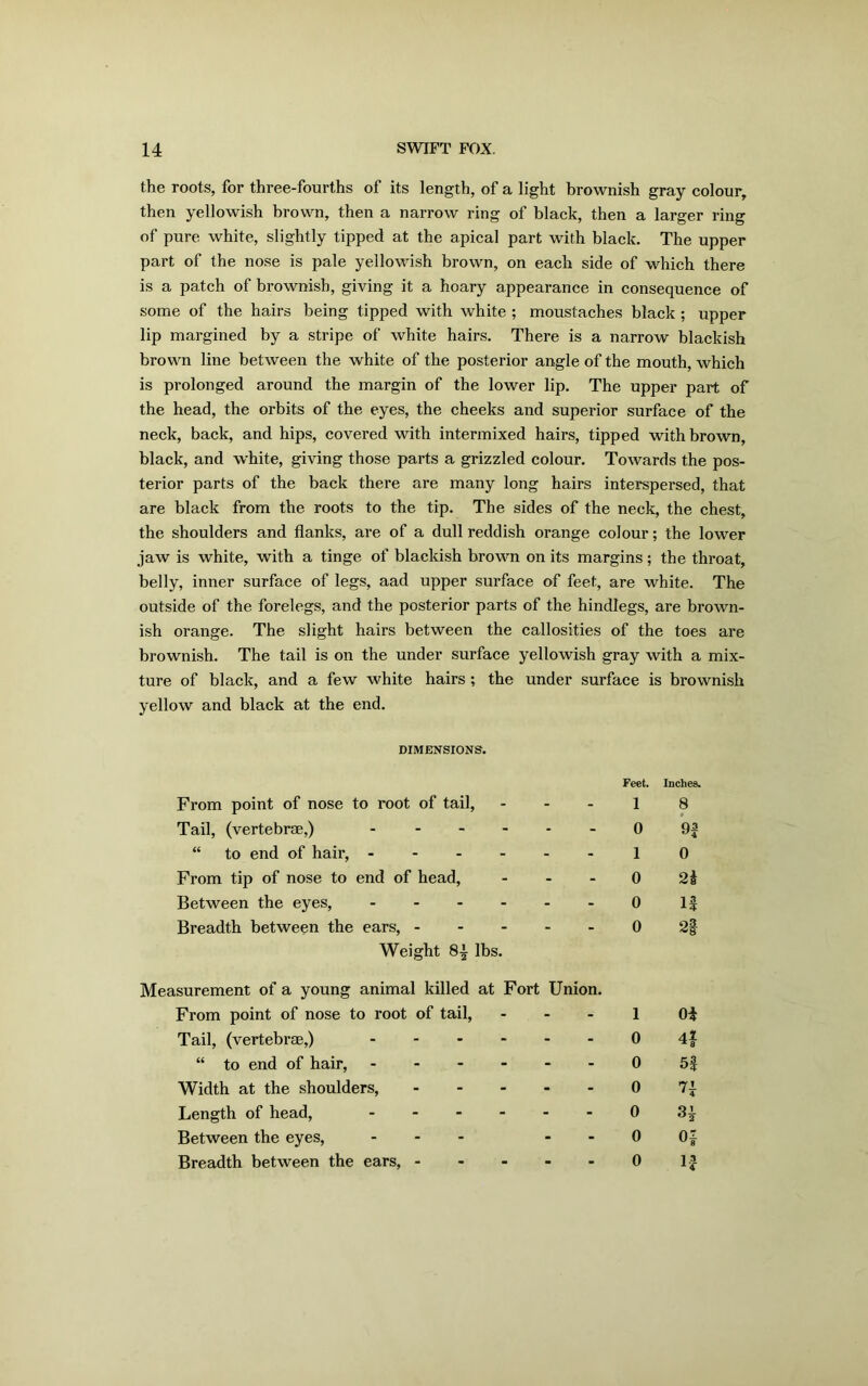the roots, for three-fourths of its length, of a light brownish gray colour, then yellowish brown, then a narrow ring of black, then a larger ring of pure white, slightly tipped at the apical part with black. The upper part of the nose is pale yellowish brown, on each side of which there is a patch of brownish, giving it a hoary appearance in consequence of some of the hairs being tipped with white ; moustaches black ; upper lip margined by a stripe of white hairs. There is a narrow blackish brown line between the white of the posterior angle of the mouth, which is prolonged around the margin of the lower lip. The upper part of the head, the orbits of the eyes, the cheeks and superior surface of the neck, back, and hips, covered with intermixed hairs, tipped with brown, black, and white, giving those parts a grizzled colour. Towards the pos- terior parts of the back there are many long hairs interspersed, that are black from the roots to the tip. The sides of the neck, the chest, the shoulders and flanks, are of a dull reddish orange colour; the lower jaw is white, with a tinge of blackish brown on its margins; the throat, belly, inner surface of legs, aad upper surface of feet, are white. The outside of the forelegs, and the posterior parts of the hindlegs, are brown- ish orange. The slight hairs between the callosities of the toes are brownish. The tail is on the under surface yellowish gray with a mix- ture of black, and a few white hairs ; the under surface is brownish yellow and black at the end. DIMENSIONS. From point of nose to root of tail, Tail, (vertebrae,) - “ to end of hair, - - - - From tip of nose to end of head, Between the eyes, - Breadth between the ears, - Weight 8i lbs. Feet. Inches. 1 8 0 9f 1 0 0 0 1| 0 Measurement of a young animal killed at Fort Union. From point of nose to root of tail, - - - 1 Tail, (vertebrae,) 0 “ to end of hair, ------ 0 Width at the shoulders, 0 Length of head, ------ 0 Between the eyes, ... 0 Breadth between the ears, ----- 0 0* 4| 55 n 0| n