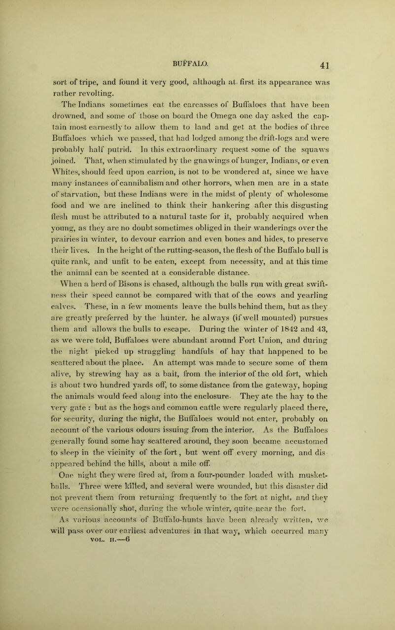 sort of tripe, and found it very good, although at first its appearance was rather revolting. The Indians sometimes eat the carcasses of Buffaloes that have been drowned, and some of those on board the Omega one day asked the cap- tain most earnestly to allow them to land and get at the bodies of three Buffaloes which we passed, that had lodged among the drift-logs and were probably half putrid. In this extraordinary request some of the squaws joined. That, when stimulated by the gnawings of hunger, Indians, or even Whites, should feed upon carrion, is not to be wondered at, since we have many instances of cannibalism and other horrors, when men are in a state of starvation, but these Indians were in the midst of plenty of wholesome food and we are inclined to think their hankering after this disgusting flesh must be attributed to a natural taste for it, probably acquired when young, as they are no doubt sometimes obliged in their wanderings over the prairies in winter, to devour carrion and even bones and hides, to preserve 1 heir lives. In the height of the rutting-season, the flesh of the Buffalo bull is quite rank, and unfit to be eaten, except from necessity, and at this time the animal can be scented at a considerable distance. When a herd of Bisons is chased, although the bulls run with great swift- ness their speed cannot be compared with that of the cows and yearling calves. These, in a few moments leave the bulls behind them, but as they are greatly preferred by the hunter, he always (ifwell mounted) pursues them and allows the bulls to escape. During the winter of 1842 and 43, as we were told, Buffaloes were abundant around Fort Union, and during the night picked up straggling handfuls of hay that happened to be scattered about the place. An attempt was made to secure some of them alive, by strewing hay as a bait, from the interior of the old fort, which is about two hundred yards oft’, to some distance from the gateway, hoping the animals would feed along into the enclosure- They ate the hay to the very gate : but as the hogs and common cattle were regularly placed there, for security, during the night, the Buffaloes would not enter, probably on account of the various odours issuing from the interior. As the Buffaloes generally found some hay scattered around, they soon became accustomed to sleep in the vicinity of the fort, but went off every morning, and dis appeared behind the hills, about a mile off. One night they were fired at, from a four-pounder loaded with musket- balls. Three were killed, and several were wounded, but this disaster did not prevent them from returning frequently to the fort at night, and they were occasionally shot, during the whole winter, quite near the fort. As various accounts of Buffalo-hunts have been already written, we will pass over our earliest adventures in that way, which occurred many VOL. II. 6