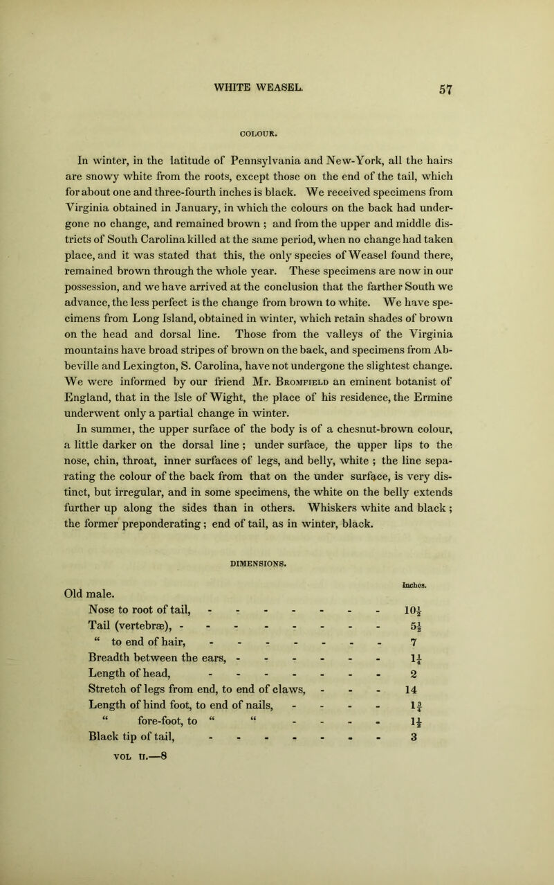 COLOUR. In winter, in the latitude of Pennsylvania and New-York, all the hairs are snowy white from the roots, except those on the end of the tail, which for about one and three-fourth inches is black. We received specimens from Virginia obtained in January, in which the colours on the back had under- gone no change, and remained brown ; and from the upper and middle dis- tricts of South Carolina killed at the same period, when no change had taken place, and it was stated that this, the only species of Weasel found there, remained brown through the whole year. These specimens are now in our possession, and we have arrived at the conclusion that the farther South we advance, the less perfect is the change from brown to white. We have spe- cimens from Long Island, obtained in winter, which retain shades of brown on the head and dorsal line. Those from the valleys of the Virginia mountains have broad stripes of brown on the back, and specimens from Ab- beville and Lexington, S. Carolina, have not undergone the slightest change. We were informed by our friend Mr. Bromfield an eminent botanist of England, that in the Isle of Wight, the place of his residence, the Ermine underwent only a partial change in winter. In summei, the upper surface of the body is of a chesnut-brown colour, a little darker on the dorsal line ; under surface, the upper lips to the nose, chin, throat, inner surfaces of legs, and belly, white ; the line sepa- rating the colour of the back from that on the under surface, is very dis- tinct, but irregular, and in some specimens, the white on the belly extends further up along the sides than in others. Whiskers white and black; the former preponderating; end of tail, as in winter, black. DIMENSIONS. Inches. Old male. Nose to root of tail, 10£ Tail (vertebrae), - 5| “ to end of hair, - 7 Breadth between the ears, lj Length of head, 2 Stretch of legs from end, to end of claws, - - - 14 Length of hind foot, to end of nails, - - - - 11 fore-foot, to “ “ .... ix Black tip of tail, - 3 vol n.—8