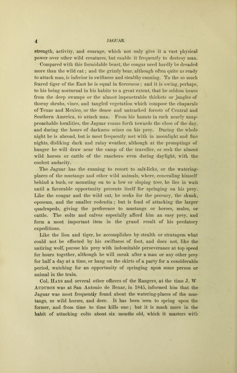 strength, activity, and courage, which not only give it a vast physical power over other wild creatures, hut enable it frequently to destroy man. Compared with this formidable beast, the cougar need hardly be dreaded more than the wild cat; and the grizzly bear, although often quite as ready to attack man, is inferior in swiftness and stealthy cunning. To the so much feared tiger of the East he is equal in fierceness ; and it is owing, perhaps, to his being nocturnal in his habits to a great extent, that he seldom issues from the deep swamps or the almost impenetrable thickets or jungles of thorny shrubs, vines, and tangled vegetation which compose the chaparals of Texas and Mexico, or the dense and untracked forests of Central and Southern America, to attack man. From his haunts in such nearly unap- proachable localities, the Jaguar roams forth towards the close of the day, and during the hours of darkness seizes on his prey. During the whole night he is abroad, but is most frequently met Avith in moonlight and fine nights, disliking dark and rainy Aveather, although at the promptings of hunger he will draw near the camp of the traAmller, or seek the almost wild horses or cattle of the ranchero even during daylight, Avith the coolest audacity. The Jaguar has the cunning to resort to salt-licks, or the watering- places of the mustangs and other Avild animals, Avhere, concealing himself behind a bush, or mounting on to a low or sloping tree, he lies in wait until a favorable opportunity presents itself for springing on his prey. Like the cougar and the Avild cat, he seeks for the peccary, the skunk, opossum, and the smaller rodentia ; but is fond of attacking the larger quadrupeds, giving the preference to mustangs or horses, mules, or cattle. The colts and calves especially afford him an easy prey, and form a most important item in the grand result of his predatory expeditions. Like the lion and tiger, he accomplishes by stealth or stratagem what could not be efi’ected by his swiftness of foot, and does not, like the untiring wolf, pursue his prey with indomitable perseverance at top speed for hours together, although he will sneak after a man or any other prey for half a day at a time, or hang on the skirts of a party for a considerable period, watching for an opportunity of springing upon some person or animal in the train. Col. Hays and several other officers of the Rangers, at the time J. W Audubon was at San Antonio de Bexar, in 1845, informed him that the Jaguar was most frequently found about the watering-places of the mus- tangs, or wild horses, and deer. It has been seen to spring upon the former, and from time to time kills one ; but it is much more in the habit of attacking colts about six mouths old, which it masters Avifh