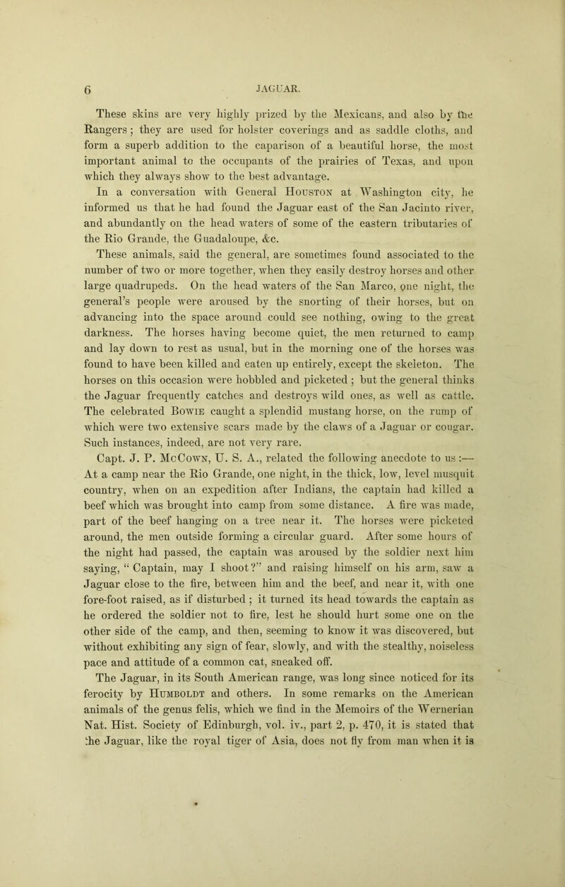 These skins are very highly prized by the Mexicans, and also by tbe Rangers ; they are used for holster coverings and as saddle cloths, and form a superb addition to the caparison of a beautiful horse, the most important animal to the occupants of the prairies of Texas, and upon which they always show to the best advantage. In a conversation with General Houston at Washington city, lie informed us that he had found the Jaguar east of the San Jacinto river, and abundantly on the head waters of some of the eastern tributaries of the Rio Grande, the Guadaloupe, &c. These animals, said the general, are sometimes found associated to the number of two or more together, when they easily destroy horses and other large quadrupeds. On the head waters of the San Marco, one night, the general’s people were aroused by the snorting of their horses, but on advancing into the space around could see nothing, owing to the great darkness. The horses having become quiet, the men returned to camp and lay down to rest as usual, but in the morning one of the horses was found to have been killed and eaten up entirely, except the skeleton. The horses on this occasion were hobbled and picketed ; but the general thinks the Jaguar frequently catches and destroys wild ones, as well as cattle. The celebrated Bowie caught a splendid mustang horse, on the rump of which were two extensive scars made by the claws of a Jaguar or cougar. Such instances, indeed, are not very rare. Capt. J. P. Me Gown, U. S. A., related the following anecdote to us :— At a camp near the Rio Grande, one night, in the thick, low, level musquit country, when on an expedition after Indians, the captain had killed a beef which was brought into camp from some distance. A fire was made, part of the beef hanging on a tree near it. The horses were picketed around, the men outside forming a circular guard. After some hours of the night had passed, the captain was aroused by the soldier next him saying, “ Captain, may I shoot ?” and raising himself on his arm, saw a Jaguar close to the lire, between him and the beef, and near it, with one fore-foot raised, as if disturbed ; it turned its head towards the captain as he ordered the soldier not to fire, lest he should hurt some one on the other side of the camp, and then, seeming to know it was discovered, but without exhibiting any sign of fear, slowly, and with the stealthy, noiseless pace and attitude of a common cat, sneaked off. The Jaguar, in its South American range, was long since noticed for its ferocity by Humboldt and others. In some remarks on the American animals of the genus felis, which we find in the Memoirs of the Wernerian Nat. Hist. Society of Edinburgh, vol. iv., part 2, p. 470, it is stated that fhe Jaguar, like the royal tiger of Asia, does not fly from man when it is