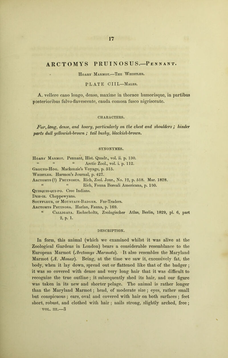 ARCTOMYS PRUIN OS US.—Pennant. Hoary Marmot.—The Whistler. PLATE CIII.—Males. A. vellere cano longo, dense, maxime in thorace Immorisquc, in partibus posterioribus fulvo-flavescente, cauda comosa fusco nigi’isccntc. CHARACTERS. Fw\ long, dense, and hoary, particularly on the chest and shoulders ; hinder parts dull yellowish-brown J tail bushy, blackish-brown. SYNONYMES. Hoary Marmot. Pennant, Hist. Qnadr., vol. ii. p. 130. “ “ “ Arctic Zool., vol. i. p. 112. Ground-Hog. Mackenzie’s Voyage, p. 515. Whistler. Harmon’s Journal, p. 427. Arctomys (?) Pruinosus. Rich, Zool. Jour., No. 12, p. 518. Mar. 1828. “ “ Rich, Fauna Boreali Americana, p. 1.50. Quisquis-qui-po. Cree Indians. Deh-ie. Cheppewyans. SouFFLEUR, or Mountain-Badger. Fur-Traders. Arctomys Pruinosa. Harlan, Fauna, p. 169. “ Calligata. Eschscholtz, Zoologischer Atlas, Berlin, 1829, pi. 6, part 2, p. 1. ' DESCRIPTION. In form, this animal (which we examined whilst it was alive at the Zoological Gardens in London) bears a considerable resemblance to the European Marmot {Arctomys Marmota). It also resembles the Maryland Marmot i^A. Monax). Being, at the time we saw it, excessively fat, the body, when it lay down, spread out or flattened like that of the badger ; it was so covered with dense and very long hair that it was difficult to recognize the true outline; it subsequently shed its hair, and our figure was taken in its new and shorter pelage. The animal is rather longer than the Maryland Marmot; head, of moderate size; eyes, rather small but conspicuous; ears, oval and covered with hair on both surfaces ; feet short, robust, and clothed with hair : nails strong, slightly arched, free; VOL. III.—3