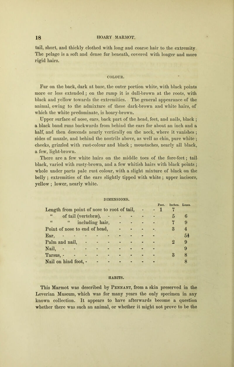 tail, short, and thickly clothed with long and coarse hair to the extremity. The pelage is a soft and dense fur beneath, covered with longer and more rigid hairs. COLOUR. Fur on the back, dark at base, the outer portion white, with black points more or less extended; on the rump it is dull-brown at the roots, with blaek and yellow towards the extremities. The general appearance of the animal, owing to the admixture of these dark-brown and white hairs, of which the white predominate, is hoary-brown. Upper surface of nose, ears, back part of the head, feet, and nails, black ; a black band runs backwards from behind the ears for about an inch and a half, and then descends nearly vertically on the neck, where it vanishes ; sides of muzzle, and behind the nostrils above, as well as chin, pure white; cheeks, grizzled with rust-colour and black ; moustaches, nearly all black, a few, light-brown. There are a few white hairs on the middle toes of the fore-feet; tail black, varied with rusty-brown, and a few whitish hairs with black points ; whole under parts pale rust colour, with a slight mixture of black on the belly ; extremities of the ears slightly tipped with white ; upper incisors, yellow ; lower, nearly white. DIMENSIONS. Length from point of nose to root of tail, “ of tail (vertebrae), “ “ ineluding hair, Point of nose to end of head. Ear, - - Palm and nail, Nail, Tarsus, Nail on hind foot, Foot. Inches. Lines. 1 7 5 6 7 9 3 4 5i 2 9 9 3 8 8 BABITS. This Marmot was described by Pennant, from a skin preserved in the Leverian Museum, which was for many years the only specimen in any known collection. It appears to have afterwards become a question whether there was such an animal, or whether it might not prove to be the