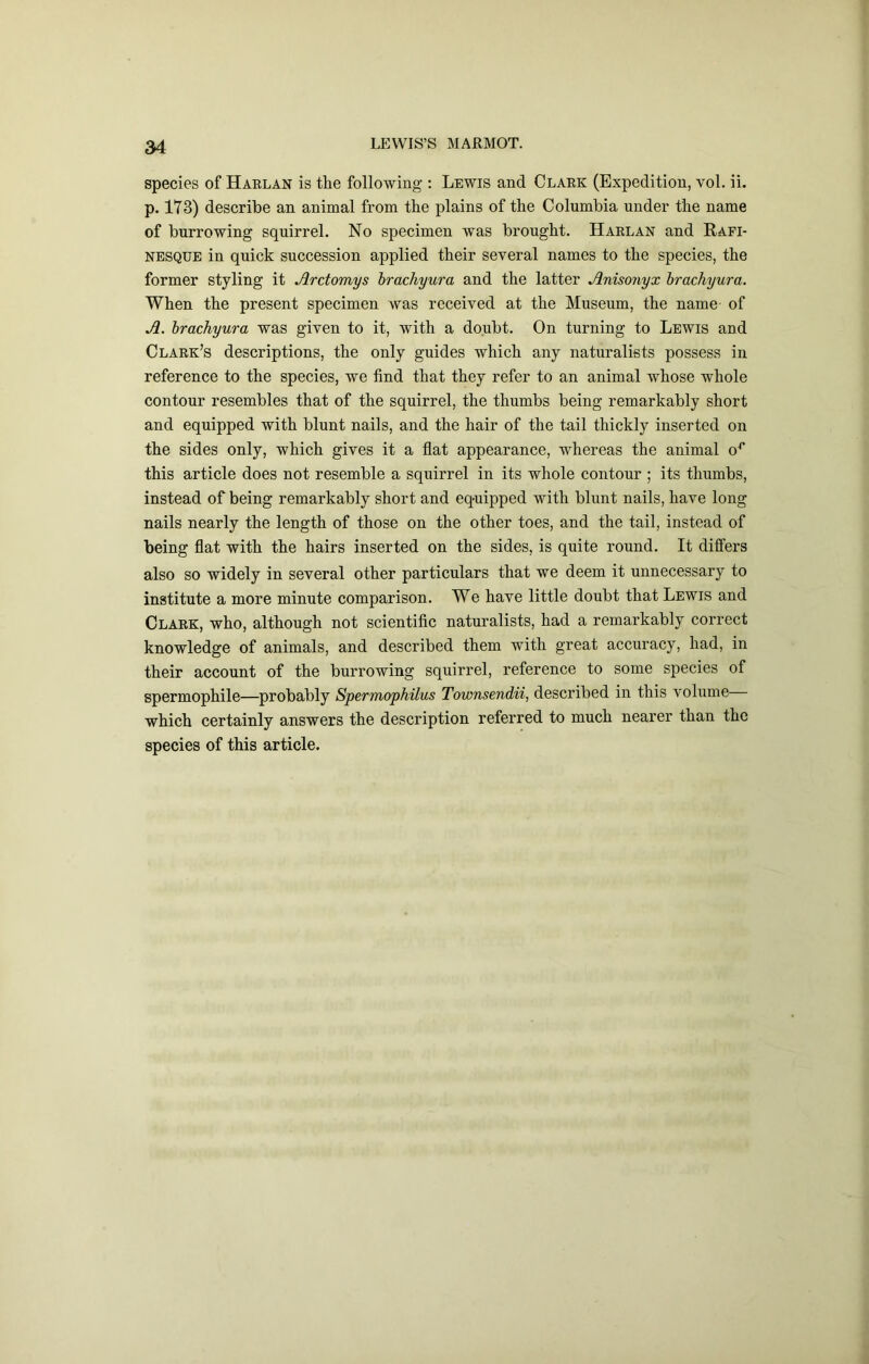 species of Haelan is the following : Lewis and Claek (Expedition, vol. ii. p, 173) describe an animal from the plains of the Columbia under the name of burrowing squirrel. No specimen was brought. Haelan and Kafi- NESQUB in quick succession applied their several names to the species, the former styling it Arctomys hrachyura and the latter Anisonyx hrachyura. When the present specimen was received at the Museum, the name of A. hrachyura was given to it, with a doubt. On turning to Lewis and Clark’s descriptions, the only guides which any naturalists possess in reference to the species, we find that they refer to an animal whose whole contour resembles that of the squirrel, the thumbs being remarkably short and equipped with blunt nails, and the hair of the tail thickly inserted on the sides only, which gives it a flat appearance, whereas the animal o^ this article does not resemble a squirrel in its whole contour ; its thumbs, instead of being remarkably short and equipped with blunt nails, have long nails nearly the length of those on the other toes, and the tail, instead of being flat with the hairs inserted on the sides, is quite round. It differs also so widely in several other particulars that we deem it unnecessary to institute a more minute comparison. We have little doubt that Lewis and Clark, who, although not scientific naturalists, had a remarkably correct knowledge of animals, and described them with great accuracy, had, in their account of the burrowing squirrel, reference to some species of spermophile—probably Spermophilus Townsendii, described in this volume which certainly answers the description referred to much nearer than the species of this article.