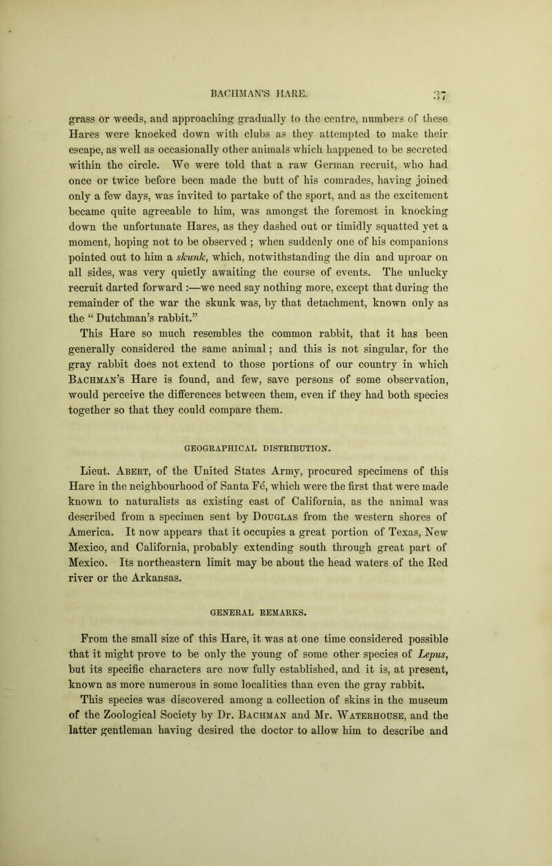 • > / grass or weeds, and approaching gradually to the centre, numbers of these Hares were knocked down with clubs as they attempted to make their escape, as well as occasionally other animals which happened to be secreted within the circle. We were told that a raw German recruit, who had once or twice before been made the butt of his comrades, having joined only a few days, was invited to partake of the sport, and as the excitement became quite agreeable to him, was amongst the foremost in knocking down the unfortunate Hares, as they dashed out or timidly squatted yet a moment, hoping not to be observed ; when suddenly one of his companions pointed out to him a skunk, which, notwithstanding the din and uproar on all sides, was very quietly awaiting the course of events. The unlucky recruit darted forward :—we need say nothing more, except that during the remainder of the war the skunk was, by that detachment, known only as the “ Dutchman’s rabbit.” This Hare so much resembles the common rabbit, that it has been generally considered the same animal; and this is not singular, for the gray rabbit does not extend to those portions of our country in which Bachman’s Hare is found, and few, save persons of some observation, would perceive the differences between them, even if they had both species together so that they could compare them. GEOGRAPHICAL DISTRIBUTION. Lieut. Abert, of the United States Army, procured specimens of this Hare in the neighbourhood of Santa Fd, which were the first that were made known to naturalists as existing east of California, as the animal was described from a specimen sent by Douglas from the western shores of America. It now appears that it occupies a great portion of Texas, New Mexico, and California, probably extending south through great part of Mexico. Its northeastern limit may be about the head waters of the Red river or the Arkansas. GENERAL REMARKS. From the small size of this Hare, it was at one time considered possible that it might prove to be only the young of some other species of Lepus, but its specific characters are now fully established, and it is, at present, known as more numerous in some localities than even the gray rabbit. This species was discovered among a collection of skins in the museum of the Zoological Society by Dr. Bachman and Mr. Waterhouse, and the latter gentleman having desired the doctor to allow him to describe and