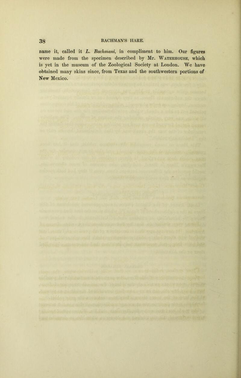 name it, called it L. Bachmani, in compliment to him. Our figures were made from the specimen described by Mr. Waterhouse, which is yet in the museum of the Zoological Society at London. We have obtained many skins since, from Texas and the southwestern portions of New Mexico.