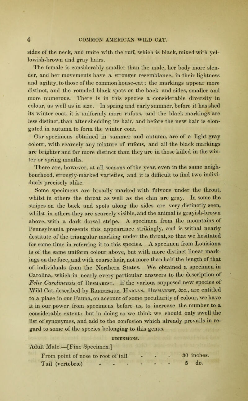 sides of the neck, and unite with the ruff, which is black, mixed with yel- lowish-brown and gray hairs. The female is considerably smaller than the male, her body more slen- der, and her movements have a stronger resemblance, in their lightness and agility, to those of the common house-cat; the markings appear more distinct, and the rounded black spots on the back and sides, smaller and more numerous. There is in this species a considerable diversity in colour, as well as in size. In spring and early summer, before it has shed its winter coat, it is uniformly more rufous, and the black markings are less distinct, than after shedding its hair, and before the new hair is elon- gated in autumn to form the winter coat. Our specimens obtained in summer and autumn, are of a light gray colour, with scarcely any mixture of rufous, and all the black markings are brighter and far more distinct than they are in those killed in the win- ter or spring months. There are, however, at all seasons of the year, even in the same neigh- bourhood, strongly-marked varieties, and it is difficult to find two indivi- duals precisely alike. Some specimens are broadly marked with fulvous under the throat, whilst in others the throat as well as the chin are gray. In some the stripes on the back and spots along the sides are very distinctly seen, whilst in others they are scarcely visible, and the animal is grayish-brown above, with a dark dorsal stripe. A specimen from the mountains of Pennsylvania presents this appearance strikingly, and is withal nearly destitute of the triangular marking under the throat, so that we hesitated for some time in referring it to this species. A specimen from Louisiana is of the same uniform colour above, but with more distinct linear mark- ings on the face, and with coarse hair, not more than half the length of that of individuals from the Northern States. We obtained a specimen in Carolina, which in nearly every particular answers to the description of Felis Carolinensis of Desmarest. If the various supposed new species of Wild Cat, described by Rafinesque, Harlan, Desmarest, &c., are entitled to a place in our Fauna, on account of some peculiarity of colour, we have it in our power from specimens before us, to increase the number to a considerable extent; but in doing so we think we should only swell the list of synonymes, and add to the confusion which already prevails in re- gard to some of the species belonging to this genus. DIMENSIONS. Adult Male.—[Fine Specimen.] From point of nose to root of tail - - 30 inches. Tail (vertebrae) - - - 5 do.