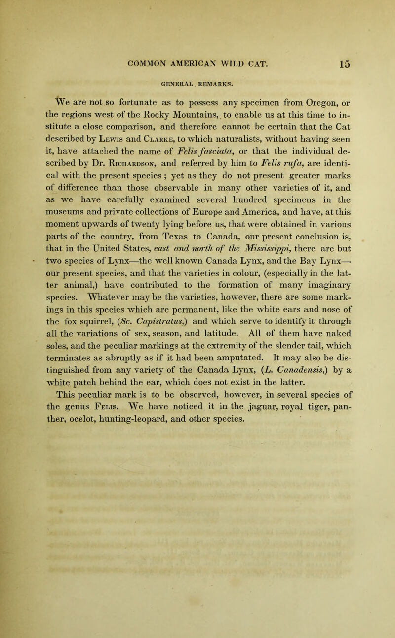 GENERAL.REMARKS. We are not so fortunate as to possess any specimen from Oregon, or the regions west of the Rocky Mountains, to enable us at this time to in- stitute a close comparison, and therefore cannot be certain that the Cat described by Lewis and Clarke, to which naturalists, without having seen it, have attached the name of Felis fasciata, or that the individual de- scribed by Dr. Richardson, and referred by him to Felis rufa, are identi- cal with the present species ; yet as they do not present greater marks of difference than those observable in many other varieties of it, and as we have carefully examined several hundred specimens in the museums and private collections of Europe and America, and have, at this moment upwards of twenty lying before us, that were obtained in various parts of the country, from Texas to Canada, our present conclusion is, that in the United States, east and north of the Mississippi, there are but two species of Lynx—the well known Canada Lynx, and the Bay Lynx—- our present species, and that the varieties in colour, (especially in the lat- ter animal,) have contributed to the formation of many imaginary species. Whatever may be the varieties, however, there are some mark- ings in this species which are permanent, like the white ears and nose of the fox squirrel, (Sc. Capistratus,) and which serve to identify it through all the variations of sex, season, and latitude. All of them have naked soles, and the peculiar markings at the extremity of the slender tail, which terminates as abruptly as if it had been amputated. It may also be dis- tinguished from any variety of the Canada Lynx, (L. Canadensis,) by a white patch behind the ear, which does not exist in the latter. This peculiar mark is to be observed, however, in several species of the genus Felis. We have noticed it in the jaguar, royal tiger, pan- ther, ocelot, hunting-leopard, and other species.