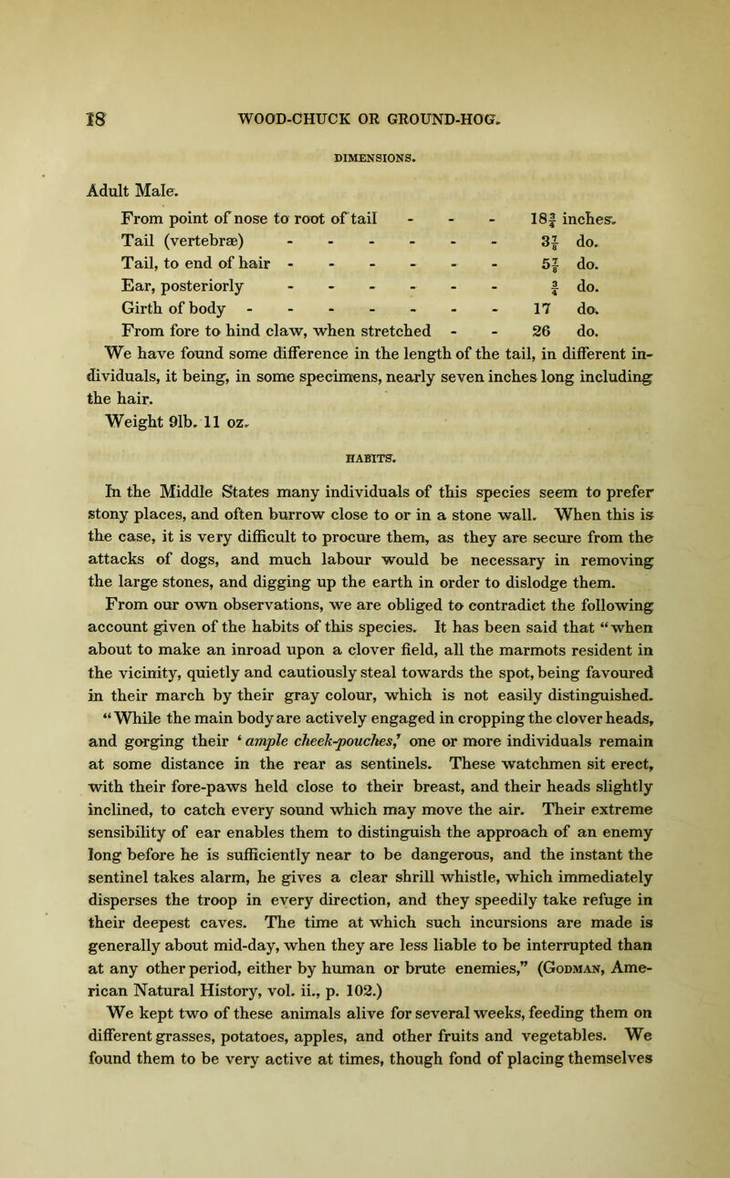 DIMENSIONS. Adult Male. From point of nose to root of tail I8f inches. Tail (vertebrae) do. Tail, to end of hair - 5f do. Ear, posteriorly ----- _ 3 4 do. Girth of body ------ 17 do. From fore to hind claw, when stretched - 26 do. We have found some difference in the length of the tail, in different in- dividuals, it being, in some specimens, nearly seven inches long including the hair. Weight 91b. 11 oz. HABITS. In the Middle States many individuals of this species seem to prefer stony places, and often burrow close to or in a stone wall. When this is the case, it is very difficult to procure them, as they are secure from the attacks of dogs, and much labour would be necessary in removing the large stones, and digging up the earth in order to dislodge them. From our own observations, we are obliged to contradict the following account given of the habits of this species. It has been said that “ when about to make an inroad upon a clover field, all the marmots resident in the vicinity, quietly and cautiously steal towards the spot, being favoured in their march by their gray colour, which is not easily distinguished. “While the main body are actively engaged in cropping the clover heads, and gorging their ‘ ample cheek-pouches,’ one or more individuals remain at some distance in the rear as sentinels. These watchmen sit erect, with their fore-paws held close to their breast, and their heads slightly inclined, to catch every sound which may move the air. Their extreme sensibility of ear enables them to distinguish the approach of an enemy long before he is sufficiently near to be dangerous, and the instant the sentinel takes alarm, he gives a clear shrill whistle, which immediately disperses the troop in every direction, and they speedily take refuge in their deepest caves. The time at which such incursions are made is generally about mid-day, when they are less liable to be interrupted than at any other period, either by human or brute enemies,” (Godman, Ame- rican Natural History, vol. ii., p. 102.) We kept two of these animals alive for several weeks, feeding them on different grasses, potatoes, apples, and other fruits and vegetables. We found them to be very active at times, though fond of placing themselves