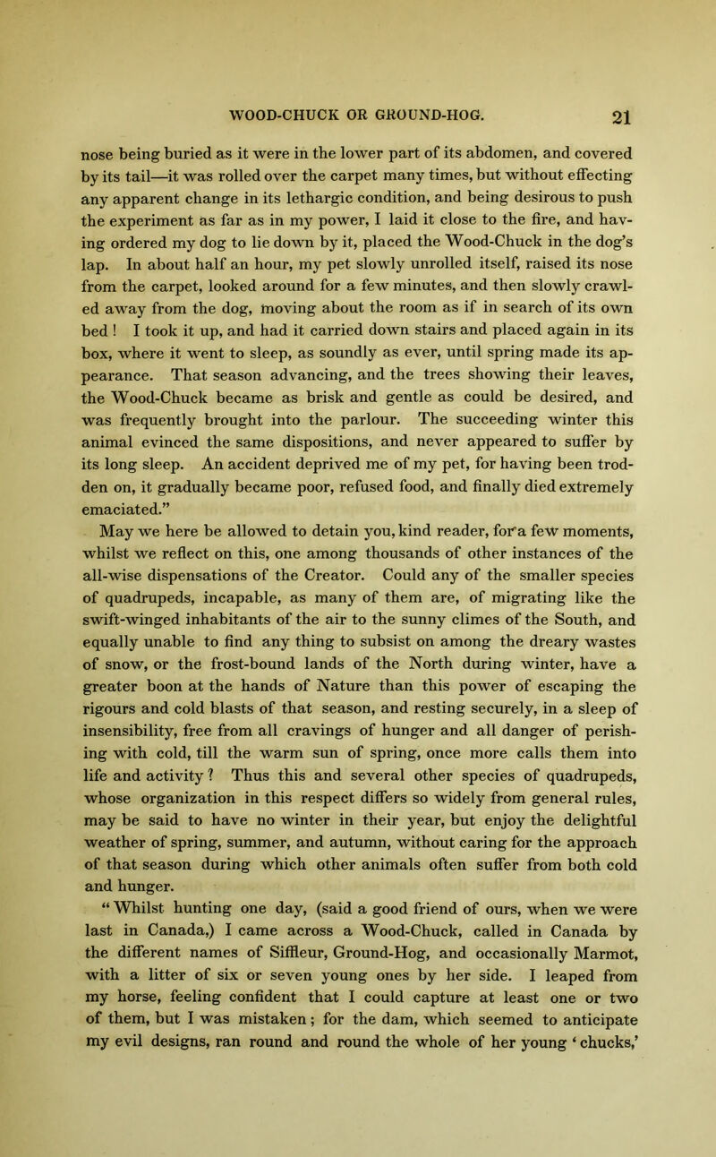 nose being buried as it were in the lower part of its abdomen, and covered by its tail—it was rolled over the carpet many times, but without effecting any apparent change in its lethargic condition, and being desirous to push the experiment as far as in my power, I laid it close to the fire, and hav- ing ordered my dog to lie down by it, placed the Wood-Chuck in the dog’s lap. In about half an hour, my pet slowly unrolled itself, raised its nose from the carpet, looked around for a few minutes, and then slowly crawl- ed away from the dog, moving about the room as if in search of its own bed ! I took it up, and had it carried down stairs and placed again in its box, where it went to sleep, as soundly as ever, until spring made its ap- pearance. That season advancing, and the trees showing their leaves, the Wood-Chuck became as brisk and gentle as could be desired, and was frequently brought into the parlour. The succeeding winter this animal evinced the same dispositions, and never appeared to suffer by its long sleep. An accident deprived me of my pet, for having been trod- den on, it gradually became poor, refused food, and finally died extremely emaciated.” May we here be allowed to detain you, kind reader, fora few moments, whilst we reflect on this, one among thousands of other instances of the all-wise dispensations of the Creator. Could any of the smaller species of quadrupeds, incapable, as many of them are, of migrating like the swift-winged inhabitants of the air to the sunny climes of the South, and equally unable to find any thing to subsist on among the dreary wastes of snow, or the frost-bound lands of the North during winter, have a greater boon at the hands of Nature than this power of escaping the rigours and cold blasts of that season, and resting securely, in a sleep of insensibility, free from all cravings of hunger and all danger of perish- ing with cold, till the warm sun of spring, once more calls them into life and activity ? Thus this and several other species of quadrupeds, whose organization in this respect differs so widely from general rules, may be said to have no winter in their year, but enjoy the delightful weather of spring, summer, and autumn, without caring for the approach of that season during which other animals often suffer from both cold and hunger. “ Whilst hunting one day, (said a good friend of ours, when we were last in Canada,) I came across a Wood-Chuck, called in Canada by the different names of Siffleur, Ground-Hog, and occasionally Marmot, with a litter of six or seven young ones by her side. I leaped from my horse, feeling confident that I could capture at least one or two of them, but I was mistaken; for the dam, which seemed to anticipate my evil designs, ran round and round the whole of her young * chucks,’