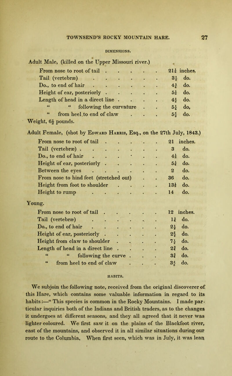 DIMENSIONS. Adult Male, (killed on the Upper Missouri river.) From nose to root of tail .... 2H inches. Tail (vertebrae) ..... 3| do. Do., to end of hair ..... 4f do. Height of ear, posteriorly .... do. Length of head in a direct line . 4f do. “ “ following the curvature do, “ from heel .to end of claw H do. Weight, 6£ pounds. Adult Female, (shot by Edward Harris, Esq., on the 27th July, 1843.) From nose to root of tail 21 inches. Tail (vertebrae) 3 do. Do., to end of hair ...... U do. Height of ear, posteriorly ..... 5k do. Between the eyes ...... 2 do. From nose to hind feet (stretched out) 36 do. Height from foot to shoulder .... m do. Height to rump ...... 14 do. Y oung. From nose to root of tail ..... 12 inches. Tail (vertebrae) . n do. Do., to end of hair ...... 2* do. Height of ear, posteriorly 2| do. Height from claw to shoulder .... 7} do. Length of head in a direct line .... 21 do. “ “ following the curve . 31 do. “ from heel to end of claw 3f do. HABITS. We subjoin the following note, received from the original discoverer of this Hare, which contains some valuable information in regard to its habits:—“ This species is common in the Rocky Mountains. I made par- ticular inquiries both of the Indians and British traders, as to the changes it undergoes at different seasons, and they all agreed that it never was lighter coloured. We first saw it on the plains of the Blackfoot river, east of the mountains, and observed it in all similar situations during our route to the Columbia, When first, seen, which was in July, it was lean