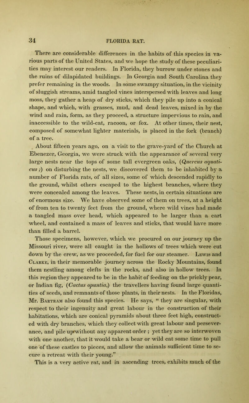 There are considerable differences in the habits of this species in va- rious parts of the United States, and we hope the study of these peculiari- ties may interest our readers. In Florida, they burrow under stones and the ruins of dilapidated buildings. In Georgia and South Carolina they prefer remaining in the woods. In some swampy situation, in the vicinity of sluggish streams, amid tangled vines interspersed with leaves and long moss, they gather a heap of dry sticks, which they pile up into a conical shape, and which, with grasses, mud, and dead leaves, mixed in by the wind and rain, form, as they proceed, a structure impervious to rain, and inaccessible to the wild-cat, racoon, or fox. At other times, their nest, composed of somewhat lighter materials, is placed in the fork (branch) of a tree. About fifteen years ago, on a visit to the grave-yard of the Church at Ebenezer, Georgia, we were struck with the appearance of several very large nests near the tops of some tall evergreen oaks, (Quercus aquati- ons ;) on disturbing the nests, we discovered them to be inhabited by a number of Florida rats, of all sizes, some of which descended rapidly to the ground, whilst others escaped to the highest branches, where they were concealed among the leaves. These nests, in certain situations are of enormous size. We have observed some of them on trees, at a height of from ten to twenty feet from the ground, where wild vines had made a tangled mass over head, which appeared to be larger than a cart wheel, and contained a mass of leaves and sticks, that would have more than filled a barrel. Those specimens, however, which we procured on our journey up the Missouri river, were all caught in the hollows of trees which were cut down by the crew, as we proceeded, for fuel for our steamer. Lewis and Clarke, in their memorable journey across the Rocky Mountains, found them nestling among clefts in the rocks, and also in hollow trees. In this region they appeared to be in the habit of feeding on the prickly pear, or Indian fig, (Cactus opuntia,) the travellers having found large quanti- ties of seeds, and remnants of those plants, in their nests. In the Floridas, Mr. Bartram also found this species. He says, “ they are singular, with respect to their ingenuity and great labour in the construction of their habitations, which are conical pyramids about three feet high, construct- ed with dry branches, which they collect with great labour and persever- ance, and pile up*without any apparent order ; yet they are so interwoven with one another, that it would take a bear or wild cat some time to pull one of these castles to pieces, and allow the animals sufficient time to se- cure a retreat with their young.” This is a very active rat, and in ascending trees, exhibits much of the