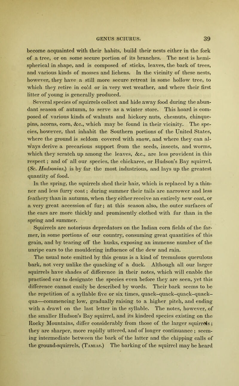 become acquainted with their habits, build their nests either in the fork of a tree, or on some secure portion of its branches. The nest is hemi- spherical in shape, and is composed of sticks, leaves, the bark of trees, and various kinds of mosses and lichens. In the vicinity of these nests, however, they have a still more secure retreat in some hollow tree, to which they retire in cold or in very wet weather, and where their first litter of young is generally produced. Several species of squirrels collect and hide away food during the abun- dant season of autumn, to serve as a winter store. This hoard is com- posed of various kinds of walnuts and hickory nuts, chesnuts, chinque- pins, acorns, corn, &c., which may be found in their vicinity. The spe- cies, however, that inhabit the Southern portions of the United States, where the ground is seldom covered with snow, and where they can al- ways derive a precarious support from the seeds, insects, and worms, which they scratch up among the leaves, &c., are less provident in this respect; and of all our species, the chickaree, or Hudson’s Bay squirrel, (Sc. Hudsonius,) is by far the most industrious, and lays up the greatest quantity of food. In the spring, the squirrels shed their hair, which is replaced by a thin- ner and less furry coat; during summer their tails are narrower and less feathery than in autumn, when they either receive an entirely new coat, or a very great accession of fur; at this season also, the outer surfaces of the ears are more thickly and prominently clothed with fur than in the spring and summer. Squirrels are notorious depredators on the Indian corn fields of the far- mer, in some portions of our country, consuming great quantities of this grain, and by tearing off the husks, exposing an immense number of the unripe ears to the mouldering influence of the dew and rain. The usual note emitted by this genus is a kind of tremulous querulous bark, not very unlike the quacking of a duck. Although all our larger squirrels have shades of difference in their notes, which will enable the practised ear to designate the species even before they are seen, yet this difference cannot easily be described by words. Their bark seems to be the repetition of a syllable five or six times, quack-quack-quack-quack- qua—commencing low, gradually raising to a higher pitch, and ending with a drawl on the last letter in the syllable. The notes, however, of the smaller Hudson’s Bay squirrel, and its kindred species existing on the Rocky Mountains, differ considerably from those of the larger squirrels; they are sharper, more rapidly uttered, and of longer continuance ; seem- ing intermediate between the bark of the latter and the chipping calls of the ground-squirrels, (Tamias.) The barking of the squirrel may be heard