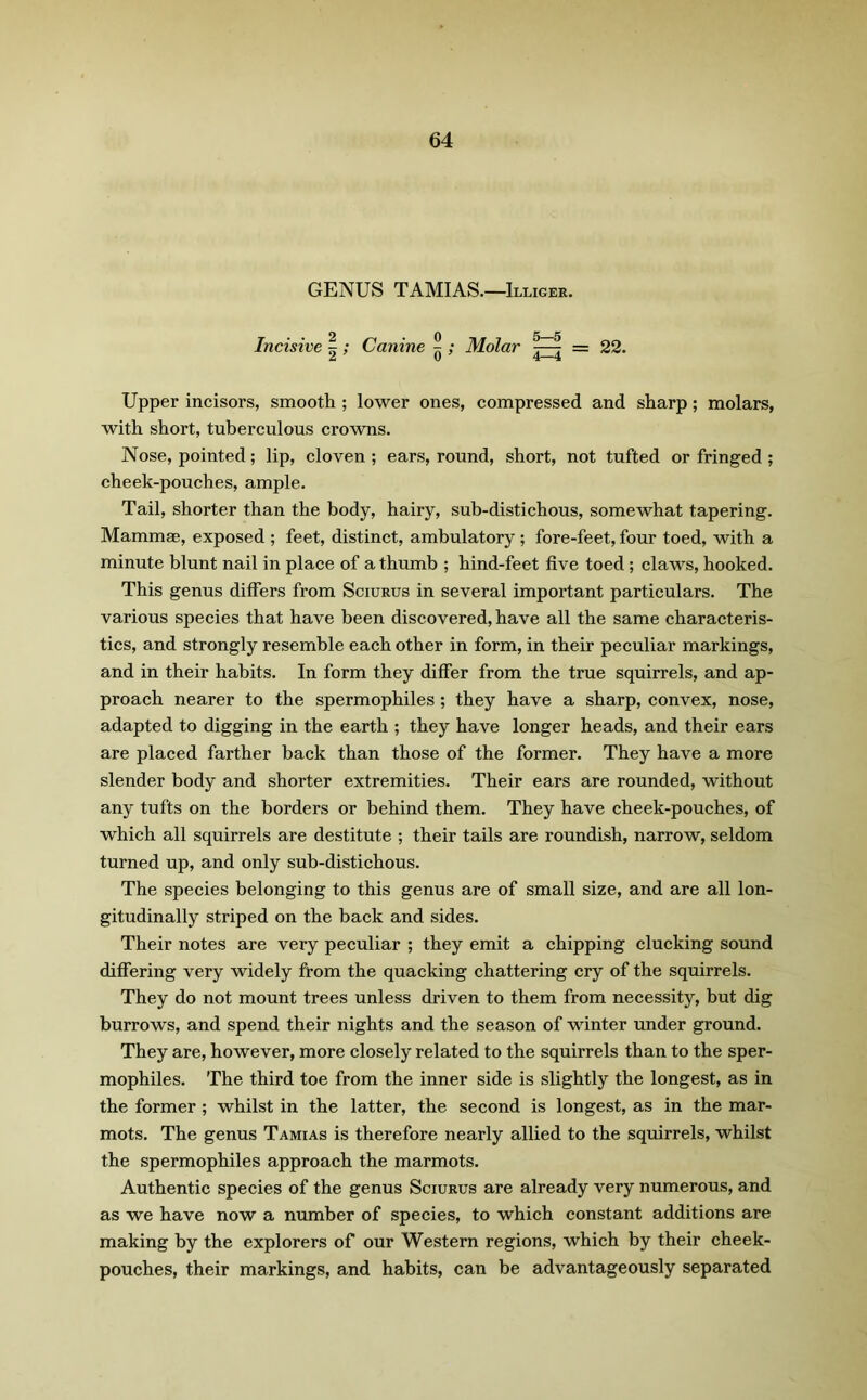 GENUS TAMIAS.—Illiger. Incisive |; Canine ^ ; Molar = 22. Upper incisors, smooth ; lower ones, compressed and sharp; molars, with short, tuberculous crowns. Nose, pointed; lip, cloven ; ears, round, short, not tufted or fringed ; cheek-pouches, ample. Tail, shorter than the body, hairy, sub-distichous, somewhat tapering. Mammae, exposed ; feet, distinct, ambulatory ; fore-feet, four toed, with a minute blunt nail in place of a thumb ; hind-feet five toed ; claws, hooked. This genus differs from Sciurus in several important particulars. The various species that have been discovered, have all the same characteris- tics, and strongly resemble each other in form, in their peculiar markings, and in their habits. In form they differ from the true squirrels, and ap- proach nearer to the spermophiles; they have a sharp, convex, nose, adapted to digging in the earth ; they have longer heads, and their ears are placed farther back than those of the former. They have a more slender body and shorter extremities. Their ears are rounded, without any tufts on the borders or behind them. They have cheek-pouches, of which all squirrels are destitute ; their tails are roundish, narrow, seldom turned up, and only sub-distichous. The species belonging to this genus are of small size, and are all lon- gitudinally striped on the back and sides. Their notes are very peculiar ; they emit a chipping clucking sound differing very widely from the quacking chattering cry of the squirrels. They do not mount trees unless driven to them from necessity, but dig burrows, and spend their nights and the season of winter under ground. They are, however, more closely related to the squirrels than to the sper- mophiles. The third toe from the inner side is slightly the longest, as in the former ; whilst in the latter, the second is longest, as in the mar- mots. The genus Tamias is therefore nearly allied to the squirrels, whilst the spermophiles approach the marmots. Authentic species of the genus Sciurus are already very numerous, and as we have now a number of species, to which constant additions are making by the explorers of our Western regions, which by their cheek- pouches, their markings, and habits, can be advantageously separated