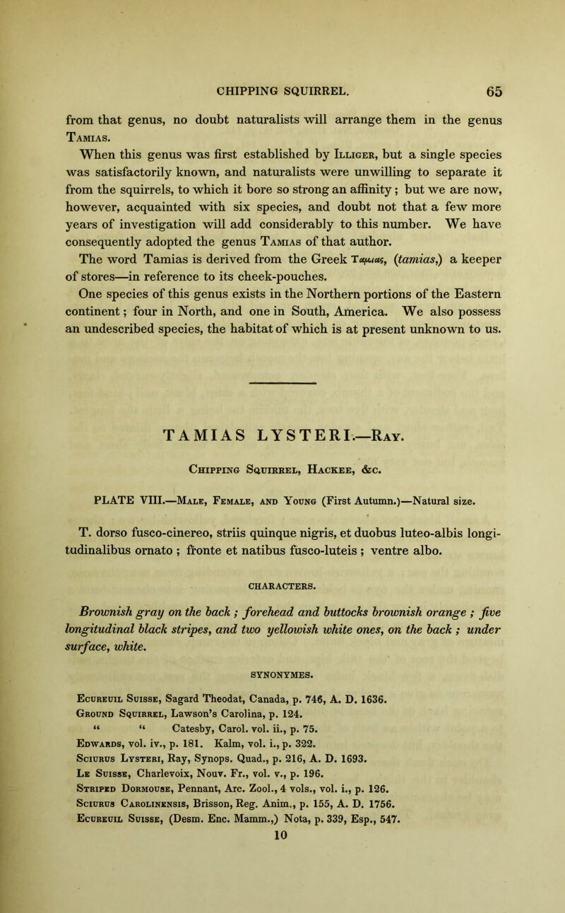 from that genus, no doubt naturalists will arrange them in the genus Tamias. When this genus was first established by Illiger, but a single species was satisfactorily known, and naturalists were unwilling to separate it from the squirrels, to which it bore so strong an affinity ; but we are now, however, acquainted with six species, and doubt not that a few more years of investigation will add considerably to this number. We have consequently adopted the genus Tamias of that author. The word Tamias is derived from the Greek (tamias) a keeper of stores—in reference to its cheek-pouches. One species of this genus exists in the Northern portions of the Eastern continent; four in North, and one in South, America. We also possess an undescribed species, the habitat of which is at present unknown to us. TAMIAS LYSTERI.—Ray. Chipping Squirrel, Hackee, &c. PLATE VIII.—Male, Female, and Young (First Autumn.)—Natural size. T. dorso fusco-cinereo, striis quinque nigris, et duobus luteo-albis longi- tudinalibus ornato ; fronte et natibus fusco-luteis ; ventre albo. CHARACTERS. Brownish gray on the hack ; forehead and buttocks brownish orange ; five longitudinal black stripes, and two yellowish white ones, on the back ; under surface, white. SYNONYMES. Ecureuil Suisse, Sagard Theodat, Canada, p. 746, A. D. 1636. Ground Squirrel, Lawson’s Carolina, p. 124. “ “ Catesby, Carol, vol. ii., p. 75. Edwards, vol. iv., p. 181. Kalm, vol. i., p. 322. Sciurus Lysteri, Ray, Synops. Quad., p. 216, A. D. 1693. Le Suisse, Charlevoix, Nouv. Fr., vol. v., p. 196. Striped Dormouse, Pennant, Arc. Zool., 4 vols., vol. i., p. 126. Sciurus Carolinensis, Brisson, Reg. Anim., p. 155, A. D. 1756. Ecureuil Suisse, (Desm. Enc. Mamm.,) Nota, p. 339, Esp., 547. 10