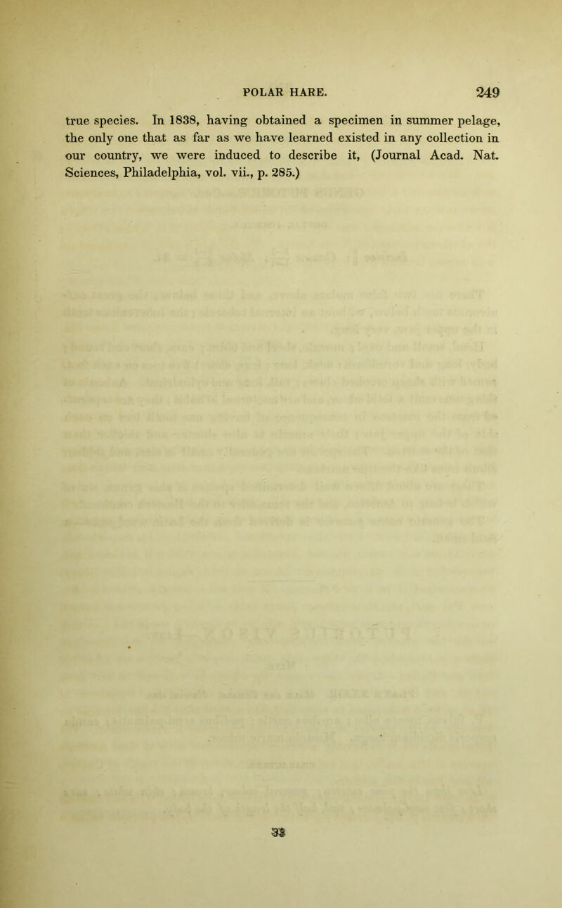 true species. In 1838, having obtained a specimen in summer pelage, the only one that as far as we have learned existed in any collection in our country, we were induced to describe it, (Journal Acad. Nat. Sciences, Philadelphia, vol. vii., p. 285.)