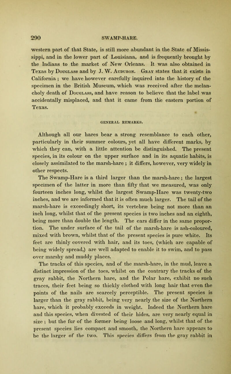 western part of that State, is still more abundant in the State of Missis- sippi, and in the lower part of Louisiana, and is frequently brought by the Indians to the market of New Orleans. It was also obtained in Texas by Douglass and by J. W. Audubon. Gray states that it exists in California; we have however carefully inquired into the history of the specimen in the British Museum, which was received after the melan- choly death of Douglass, and have reason to believe that the label was accidentally misplaced, and that it came from the eastern portion of Texas. GENERAL REMARKS. Although all our hares bear a strong resemblance to each other, particularly in their summer colours, yet all have different marks, by which they can, with a little attention be distinguished. The present species, in its colour on the upper surface and in its aquatic habits, is closely assimilated to the marsh-hare ; it differs, however, very widely in other respects. The Swamp-Hare is a third larger than the marsh-hare; the largest specimen of the latter in more than fifty that we measured, was only fourteen inches long, whilst the largest Swamp-Hare was twenty-two inches, and we are informed that it is often much larger. The tail of the marsh-hare is exceedingly short, its vertebrae being not more than an inch long, whilst that of the present species is two inches and an eighth, being more than double the length. The ears differ in the same propor- tion. The under surface of the tail of the marsh-hare is ash-coloured, mixed with brown, whilst that of the present species is pure white. Its feet are thinly covered with hair, and its toes, (which are capable of being widely spread,) are well adapted to enable it to swim, and to pass over marshy and muddy places. The tracks of this species, and of the marsh-hare, in the mud, leave a distinct impression of the toes, whilst on the contrary the tracks of the gray rabbit, the Northern hare, and the Polar hare, exhibit no such traces, their feet being so thickly clothed with long hair that even the points of the nails are scarcely perceptible. The present species is larger than the gray rabbit, being very nearly the size of the Northern hare, which it probably exceeds in weight. Indeed the Northern hare and this species, when divested of their hides, are very nearly equal in size ; but the fur of the former being loose and long, whilst that of the present species lies compact and smooth, the Northern hare appears to be the larger of the two. This species differs from the gray rabbit in