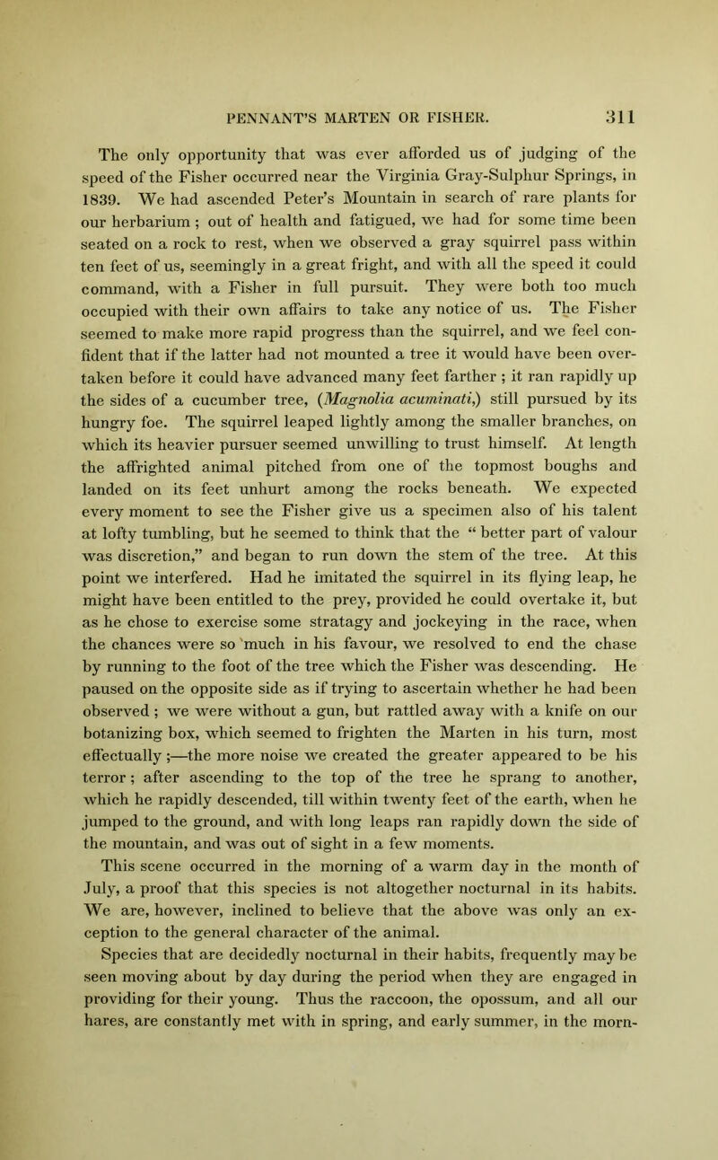 The only opportunity that was ever afforded us of judging of the speed of the Fisher occurred near the Virginia Gray-Sulphur Springs, in 1839. We had ascended Peter’s Mountain in search of rare plants for our herbarium ; out of health and fatigued, we had for some time been seated on a rock to rest, when we observed a gray squirrel pass within ten feet of us, seemingly in a great fright, and with all the speed it could command, with a Fisher in full pursuit. They were both too much occupied with their own affairs to take any notice of us. The Fisher seemed to make more rapid progress than the squirrel, and we feel con- fident that if the latter had not mounted a tree it would have been over- taken before it could have advanced many feet farther ; it ran rapidly up the sides of a cucumber tree, (Magnolia acuminciti,) still pursued by its hungry foe. The squirrel leaped lightly among the smaller branches, on which its heavier pursuer seemed unwilling to trust himself. At length the affrighted animal pitched from one of the topmost boughs and landed on its feet unhurt among the rocks beneath. We expected every moment to see the Fisher give us a specimen also of his talent at lofty tumbling, but he seemed to think that the “ better part of valour was discretion,” and began to run down the stem of the tree. At this point we interfered. Had he imitated the squirrel in its flying leap, he might have been entitled to the prey, provided he could overtake it, but as he chose to exercise some stratagy and jockeying in the race, when the chances were so much in his favour, we resolved to end the chase by running to the foot of the tree which the Fisher was descending. He paused on the opposite side as if trying to ascertain whether he had been observed ; we were without a gun, but rattled away with a knife on our botanizing box, which seemed to frighten the Marten in his turn, most effectually;—the more noise we created the greater appeared to be his terror ; after ascending to the top of the tree he sprang to another, which he rapidly descended, till within twenty feet of the earth, when he jumped to the ground, and with long leaps ran rapidly down the side of the mountain, and was out of sight in a few moments. This scene occurred in the morning of a warm day in the month of July, a proof that this species is not altogether nocturnal in its habits. We are, however, inclined to believe that the above was only an ex- ception to the general character of the animal. Species that are decidedly nocturnal in their habits, frequently may be seen moving about by day during the period when they are engaged in providing for their young. Thus the raccoon, the opossum, and all our hares, are constantly met with in spring, and early summer, in the morn-