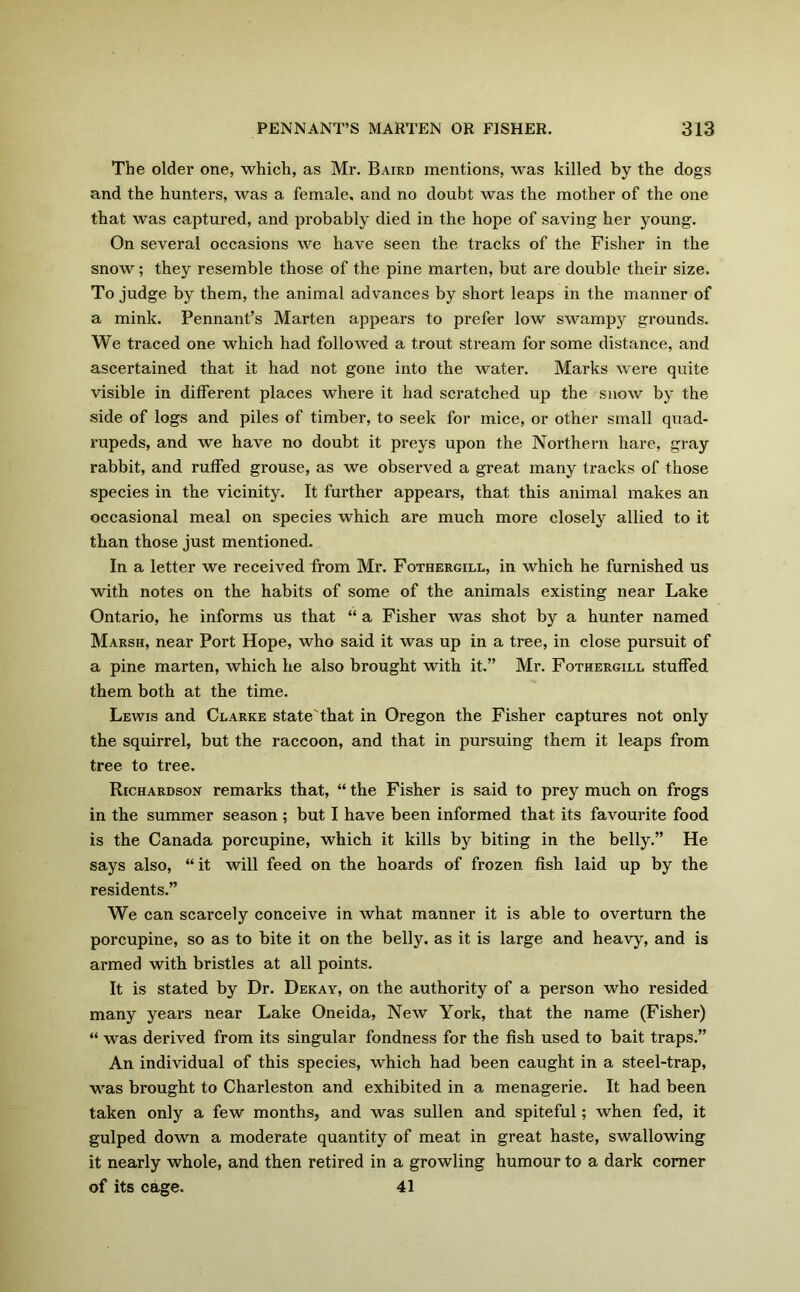 The older one, which, as Mr. Baird mentions, was killed by the dogs and the hunters, was a female, and no doubt was the mother of the one that was captured, and probably died in the hope of saving her young. On several occasions we have seen the tracks of the Fisher in the snow; they resemble those of the pine marten, but are double their size. To judge by them, the animal advances by short leaps in the manner of a mink. Pennant’s Marten appears to prefer low swampy grounds. We traced one which had followed a trout stream for some distance, and ascertained that it had not gone into the water. Marks were quite visible in different places where it had scratched up the snow by the side of logs and piles of timber, to seek for mice, or other small quad- rupeds, and we have no doubt it preys upon the Northern hare, gray rabbit, and ruffed grouse, as we observed a great many tracks of those species in the vicinity. It further appears, that this animal makes an occasional meal on species which are much more closely allied to it than those just mentioned. In a letter we received from Mr. Fothergill, in which he furnished us with notes on the habits of some of the animals existing near Lake Ontario, he informs us that “ a Fisher was shot by a hunter named Marsh, near Port Hope, who said it was up in a tree, in close pursuit of a pine marten, which he also brought with it.” Mr. Fothergill stuffed them both at the time. Lewis and Clarke state that in Oregon the Fisher captures not only the squirrel, but the raccoon, and that in pursuing them it leaps from tree to tree. Richardson remarks that, “ the Fisher is said to prey much on frogs in the summer season; but I have been informed that its favourite food is the Canada porcupine, which it kills by biting in the belly.” He says also, “ it will feed on the hoards of frozen fish laid up by the residents.” We can scarcely conceive in what manner it is able to overturn the porcupine, so as to bite it on the belly, as it is large and heavy, and is armed with bristles at all points. It is stated by Dr. Dekay, on the authority of a person who resided many years near Lake Oneida, New York, that the name (Fisher) “ was derived from its singular fondness for the fish used to bait traps.” An individual of this species, which had been caught in a steel-trap, was brought to Charleston and exhibited in a menagerie. It had been taken only a few months, and was sullen and spiteful; when fed, it gulped down a moderate quantity of meat in great haste, swallowing it nearly whole, and then retired in a growling humour to a dark corner of its cage. 41