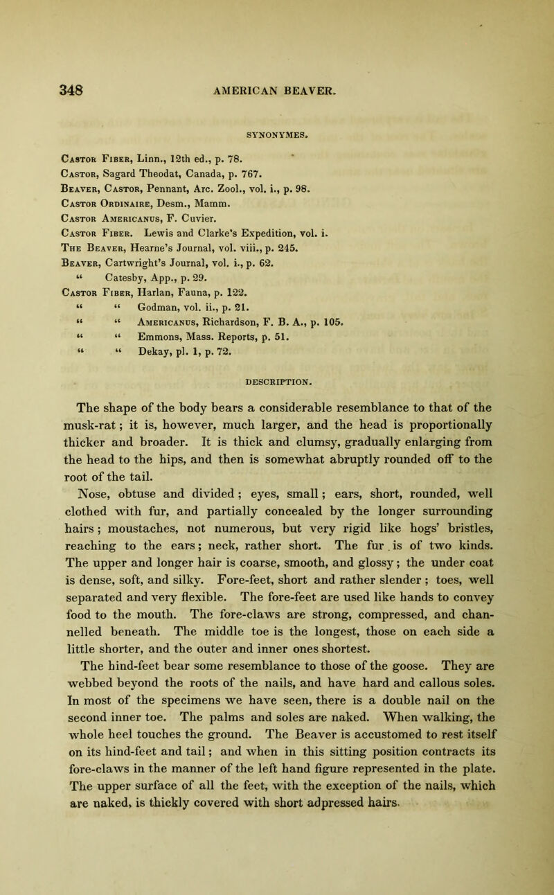 SYNONYMES. Castor Fiber, Linn., 12th ed., p. 78. Castor, Sagard Theodat, Canada, p. 767. Beaver, Castor, Pennant, Arc. Zool., vol. i., p. 98. Castor Ordinaire, Desm., Mamm. Castor Americanus, F. Cuvier. Castor Fiber. Lewis and Clarke’s Expedition, vol. i. The Beaver, Hearne’s Journal, vol. viii., p. 245. Beaver, Cartwright’s Journal, vol. i., p. 62. “ Catesby, App., p. 29. Castor Fiber, Harlan, Fauna, p. 122. “ “ Godman, vol. ii., p. 21. “ “ Americanus, Richardson, F. B. A., p. 105. “ “ Emmons, Mass. Reports, p. 51. “ “ Dekay, pi. 1, p. 72. DESCRIPTION. The shape of the body bears a considerable resemblance to that of the musk-rat; it is, however, much larger, and the head is proportionally thicker and broader. It is thick and clumsy, gradually enlarging from the head to the hips, and then is somewhat abruptly rounded off to the root of the tail. Nose, obtuse and divided ; eyes, small; ears, short, rounded, well clothed with fur, and partially concealed by the longer surrounding hairs; moustaches, not numerous, but very rigid like hogs’ bristles, reaching to the ears; neck, rather short. The fur . is of two kinds. The upper and longer hair is coarse, smooth, and glossy; the under coat is dense, soft, and silky. Fore-feet, short and rather slender ; toes, well separated and very flexible. The fore-feet are used like hands to convey food to the mouth. The fore-claws are strong, compressed, and chan- nelled beneath. The middle toe is the longest, those on each side a little shorter, and the outer and inner ones shortest. The hind-feet bear some resemblance to those of the goose. They are webbed beyond the roots of the nails, and have hard and callous soles. In most of the specimens we have seen, there is a double nail on the second inner toe. The palms and soles are naked. When walking, the whole heel touches the ground. The Beaver is accustomed to rest itself on its hind-feet and tail; and when in this sitting position contracts its fore-claws in the manner of the left hand figure represented in the plate. The upper surface of all the feet, with the exception of the nails, which are naked, is thickly covered with short adpressed hairs.