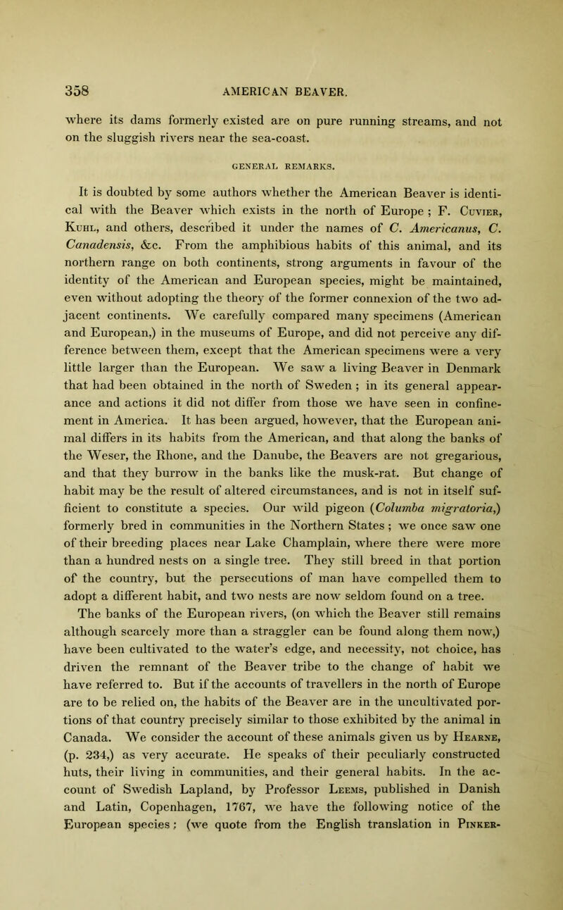 where its dams formerly existed are on pure running streams, and not on the sluggish rivers near the sea-coast. GENERAL REMARKS. It is doubted by some authors whether the American Beaver is identi- cal with the Beaver which exists in the north of Europe ; F. Cuvier, Kuhl, and others, described it under the names of C. Americanus, C. Canadensis, &c. From the amphibious habits of this animal, and its northern range on both continents, strong arguments in favour of the identity of the American and European species, might be maintained, even without adopting the theory of the former connexion of the two ad- jacent continents. We carefully compared many specimens (American and European,) in the museums of Europe, and did not perceive any dif- ference between them, except that the American specimens were a very little larger than the European. We saw a living Beaver in Denmark that had been obtained in the north of Sweden ; in its general appear- ance and actions it did not differ from those we have seen in confine- ment in America. It has been argued, however, that the European ani- mal differs in its habits from the American, and that along the banks of the Weser, the Rhone, and the Danube, the Beavers are not gregarious, and that they burrow in the banks like the musk-rat. But change of habit may be the result of altered circumstances, and is not in itself suf- ficient to constitute a species. Our wild pigeon (Columba migratoria,) formerly bred in communities in the Northern States ; we once saw one of their breeding places near Lake Champlain, where there were more than a hundred nests on a single tree. They still breed in that portion of the country, but the persecutions of man have compelled them to adopt a different habit, and two nests are now seldom found on a tree. The banks of the European rivers, (on which the Beaver still remains although scarcely more than a straggler can be found along them now,) have been cultivated to the water’s edge, and necessity, not choice, has driven the remnant of the Beaver tribe to the change of habit we have referred to. But if the accounts of travellers in the north of Europe are to be relied on, the habits of the Beaver are in the uncultivated por- tions of that country precisely similar to those exhibited by the animal in Canada. We consider the account of these animals given us by Hearne, (p. 234,) as very accurate. He speaks of their peculiarly constructed huts, their living in communities, and their general habits. In the ac- count of Swedish Lapland, by Professor Leems, published in Danish and Latin, Copenhagen, 1767, we have the following notice of the European species ; (we quote from the English translation in Pinker-