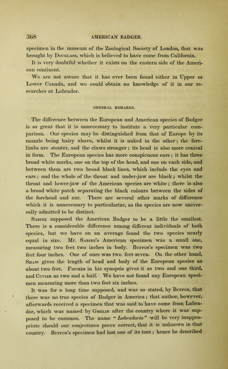 specimen in the museum of the Zoological Society of London, that was brought by Douglass, which is believed to have come from California. It is very doubtful whether it exists on the eastern side of the Ameri- can continent. We are not aware that it has ever been found either in Upper or Lower Canada, and we could obtain no knowledge of it in our re- searches at Labrador. GENERAL REMARKS. The difference between the European and American species of Badger is so great that it is unnecessary to institute a very particular com- parison. Our species may be distinguished from that of Europe by its muzzle being hairy above, whilst it is naked in the other; the fore- limbs are stouter, and the claws stronger ; its head is also more conical in form. The European species has more conspicuous ears ; it has three broad white marks, one on the top of the head, and one on each side, and between them are two broad black lines, which include the eyes and ears ; and the whole of the throat and under-jaw are black ; whilst the throat and lower-jaw of the American species are white ; there is also a broad white patch separating the black colours between the sides of the forehead and ear. There are several other marks of difference which it is unnecessary to particularize, as the species are now univer- sally admitted to be distinct. Sabine supposed the American Badger to be a little the smallest. There is a considerable difference among different individuals of both species, but we have on an average found the two species nearly equal in size. Mr. Sabine’s American specimen was a small one, measuring two feet two inches in body. Buffon’s specimen was two feet four inches. One of ours was two feet seven. On the other hand, Shaw gives the length of head and body of the European species as about two feet. Fischer in his synopsis gives it as two and one third, and Cuvier as two and a half. We have not found any European speci- men measuring more than two feet six inches. It was for a long time supposed, and was so stated, by Buffon, that there was no true species of Badger in America; that author, however, afterwards received a specimen that was said to have come from Labra- dor, which was named by Gmelin after the country where it was sup- posed to be common. The name “ Labradoria ” will be very inappro- priate should our conjectures prove correct, that it is unknown in that country. Buffon’s specimen had lost one of its toes ; hence he described
